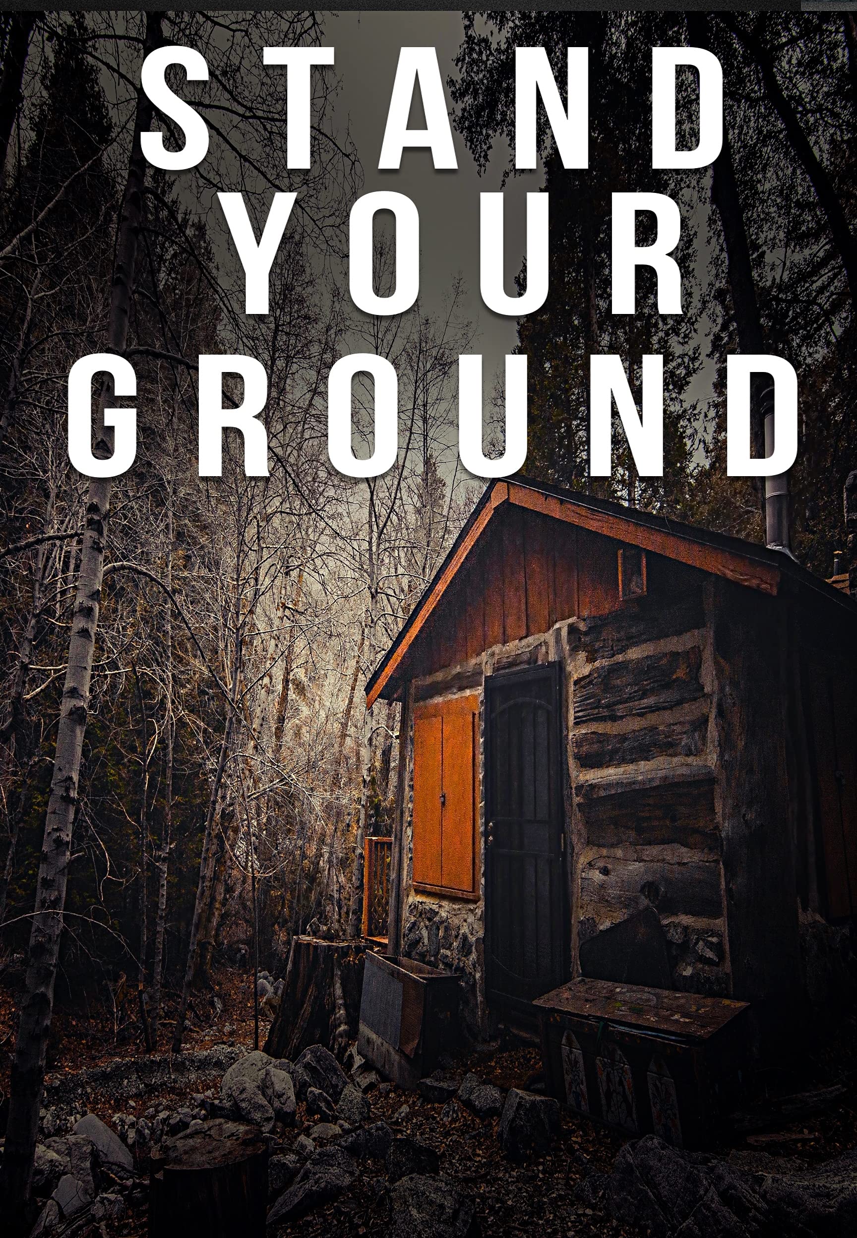 Stand Your Ground book cover