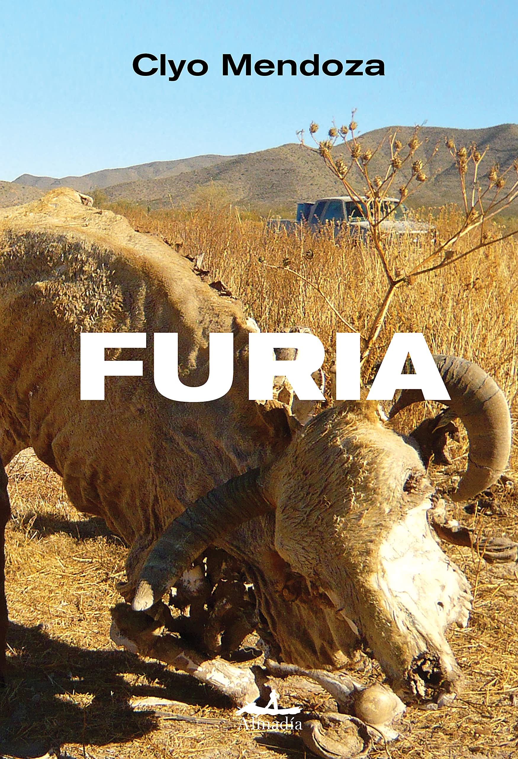 Furia (Spanish Edition)