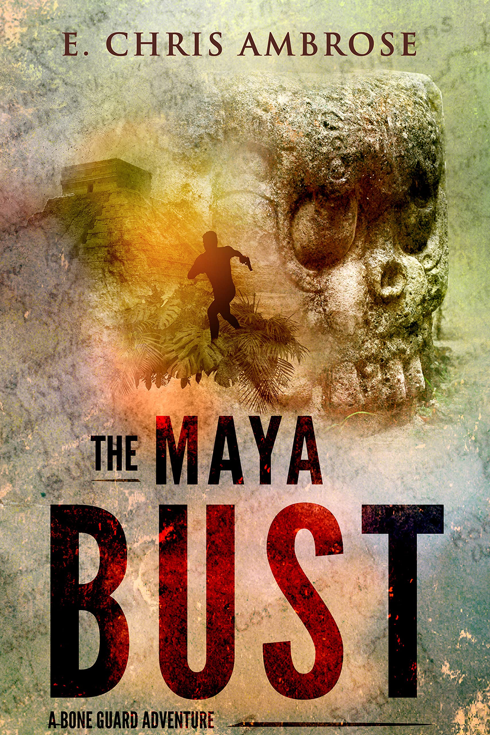 The Maya Bust book cover