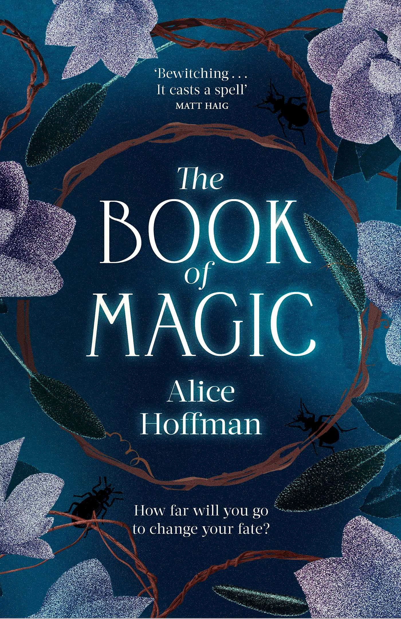 The Book of Magic (Practical Magic, #2)