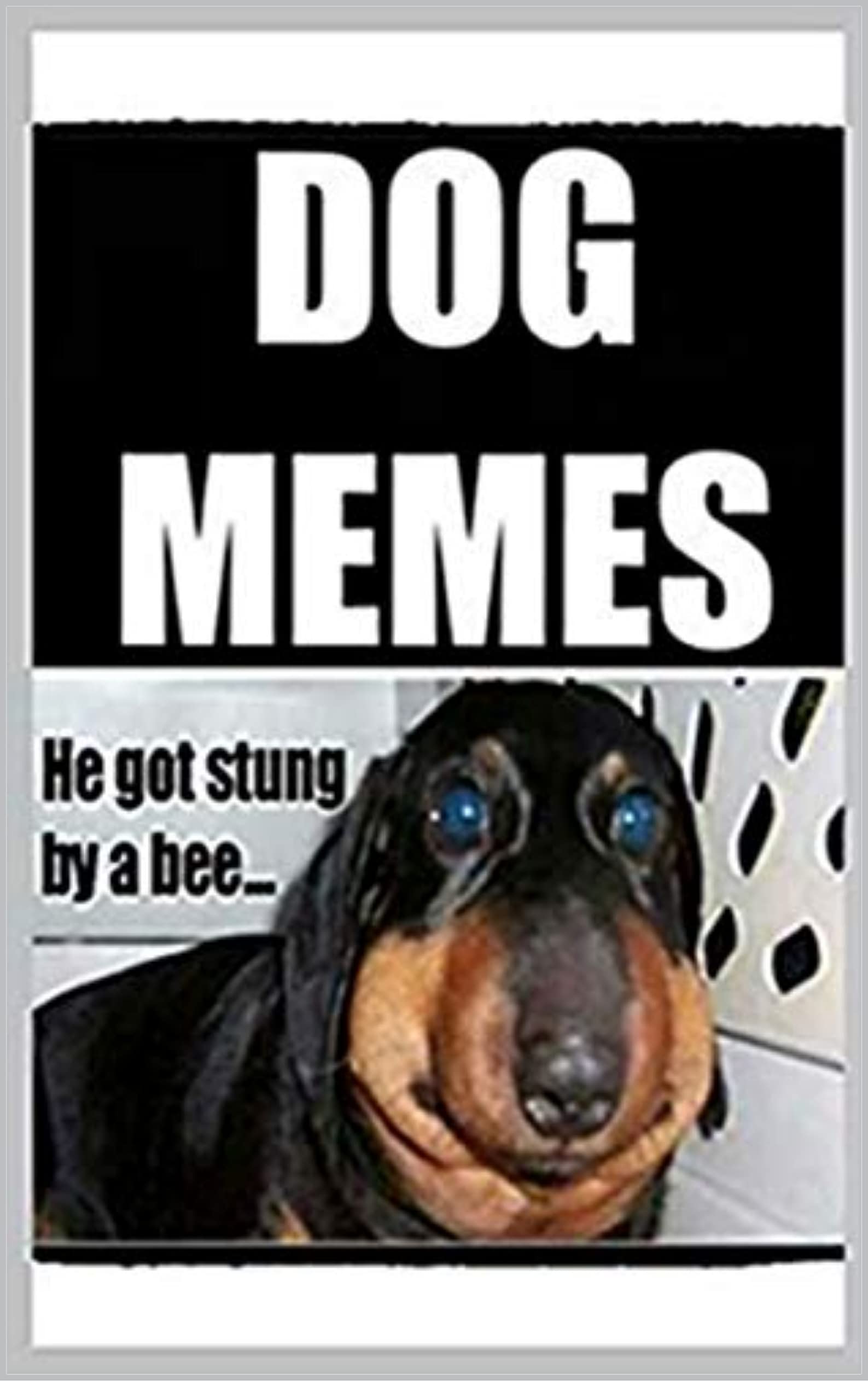 Dog Mémés Barking Mad Craziness With Jokes And Much More by Memes