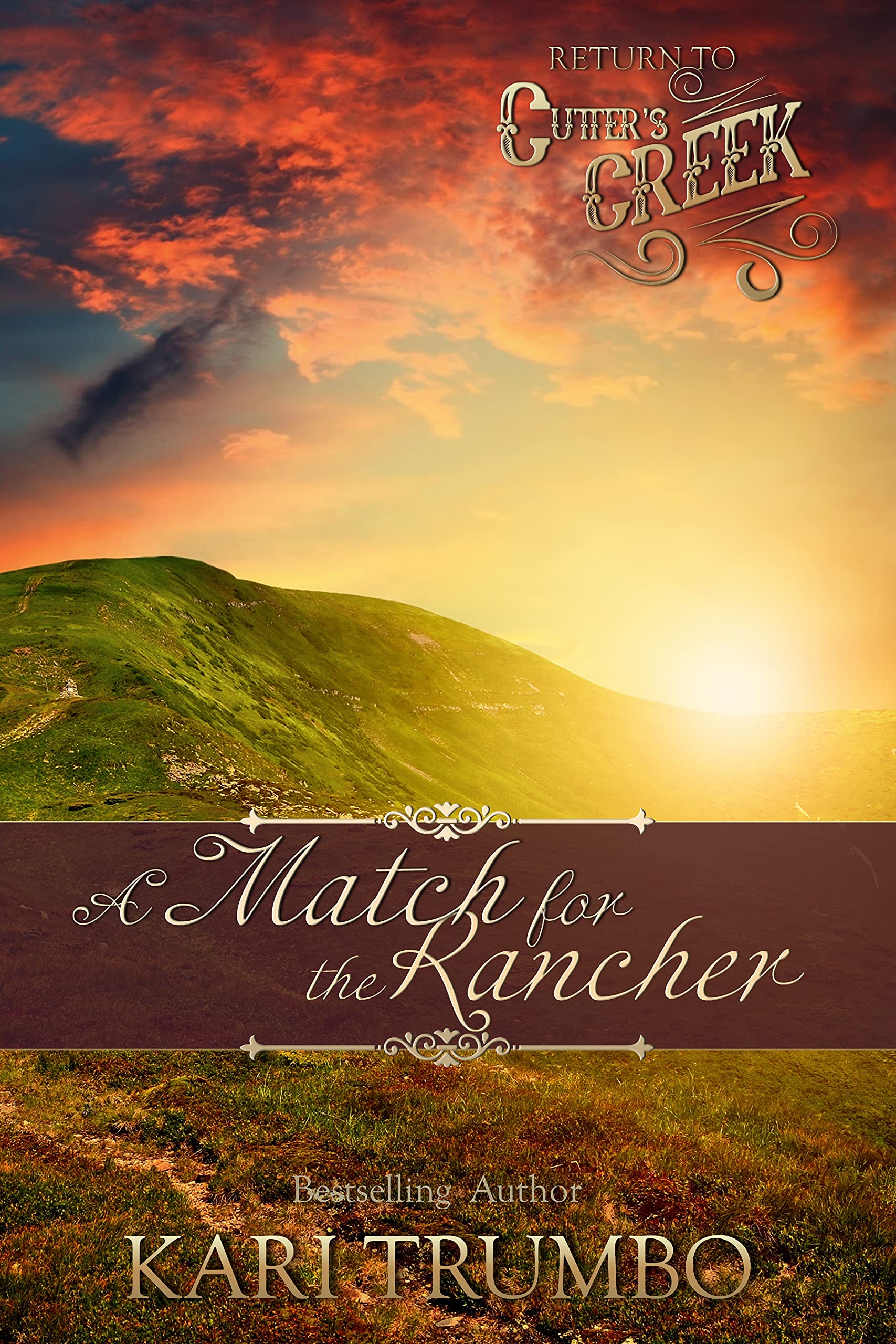 A Match for the Rancher book cover