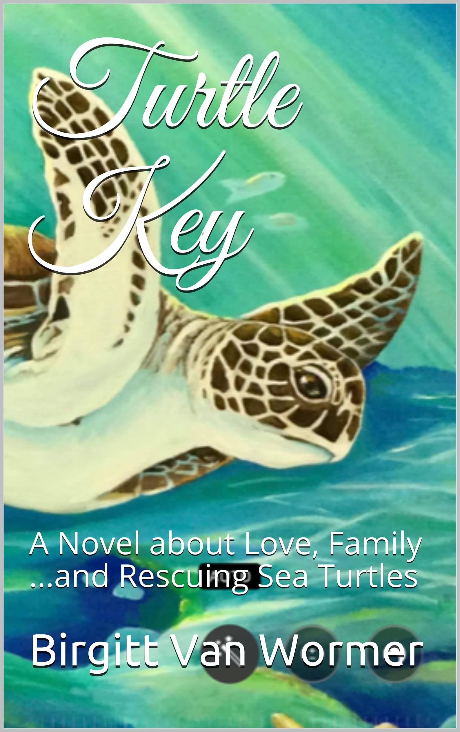 Turtle Key: A story about Love, Family ...and Rescuing Sea Turtles