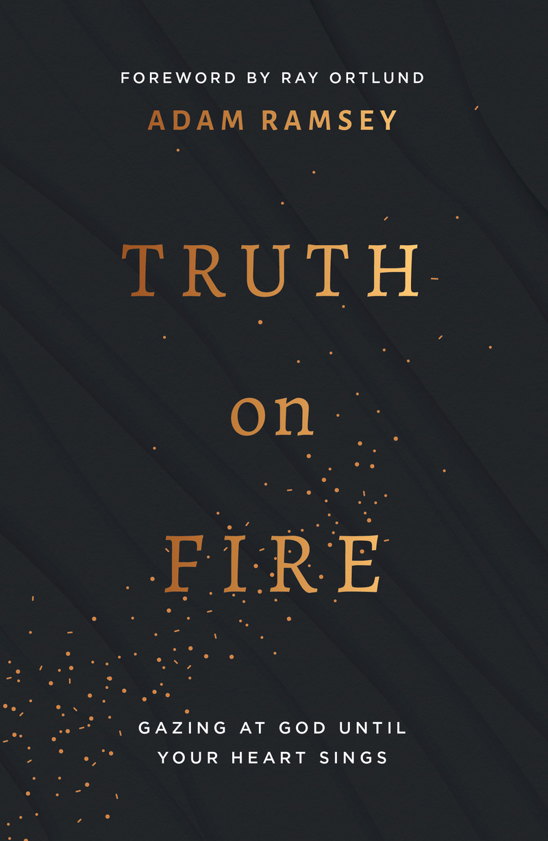 Truth On Fire: Gazing at God Until Your Heart Sings