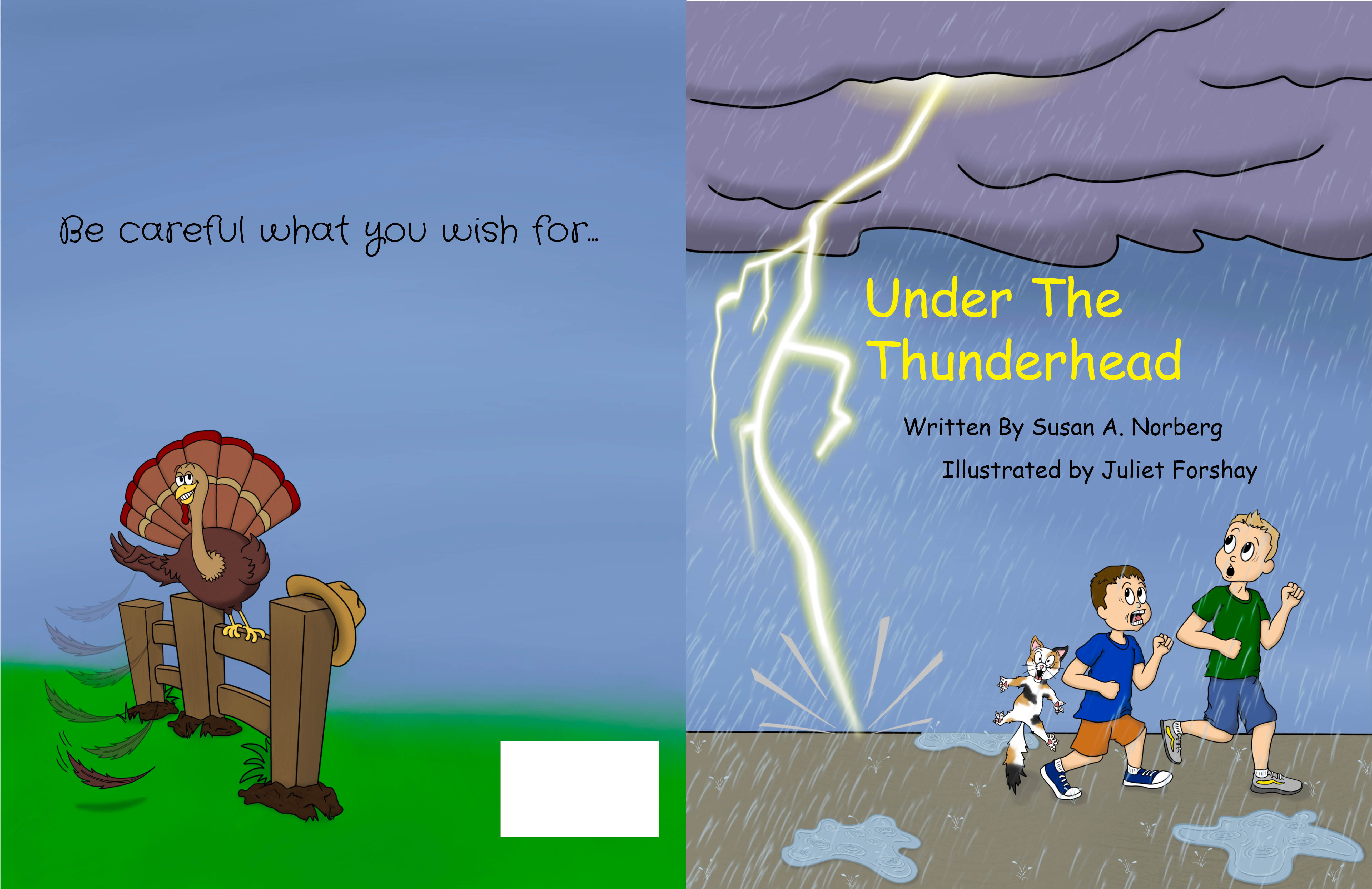 Under the Thunderhead by Susan Norberg Goodreads