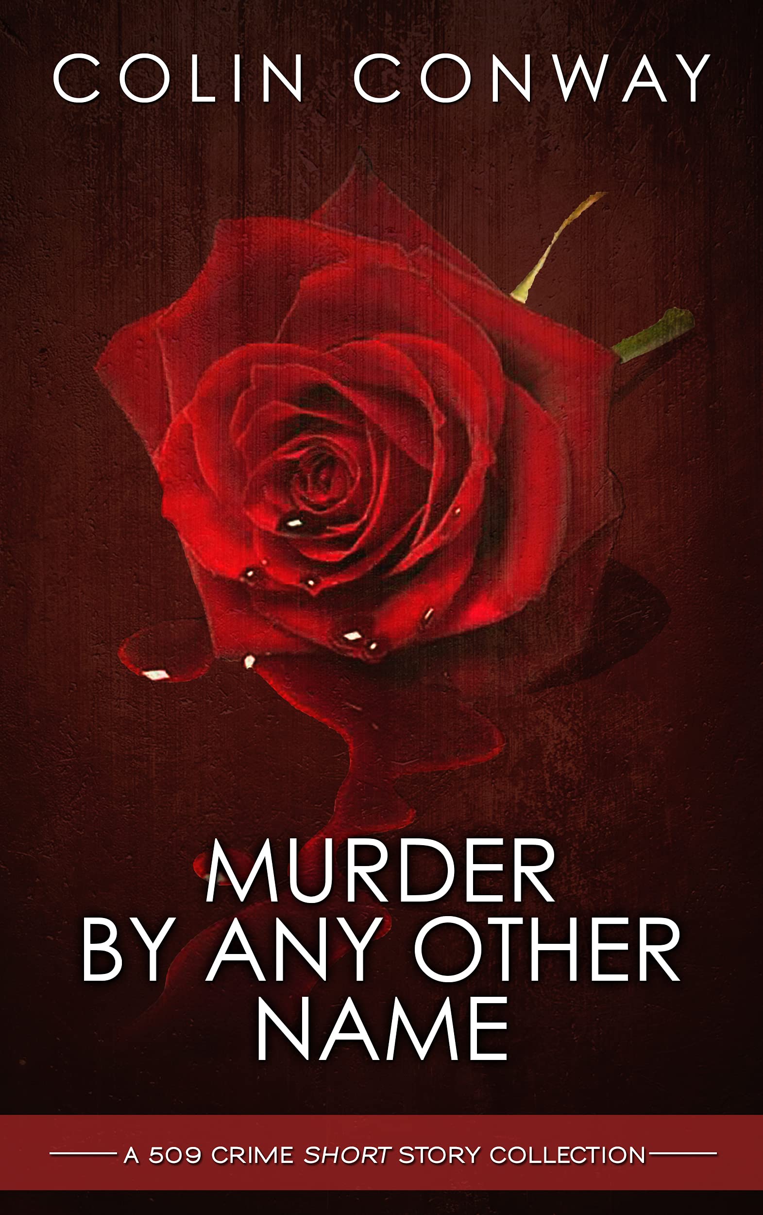 Murder by Any Other Name book cover