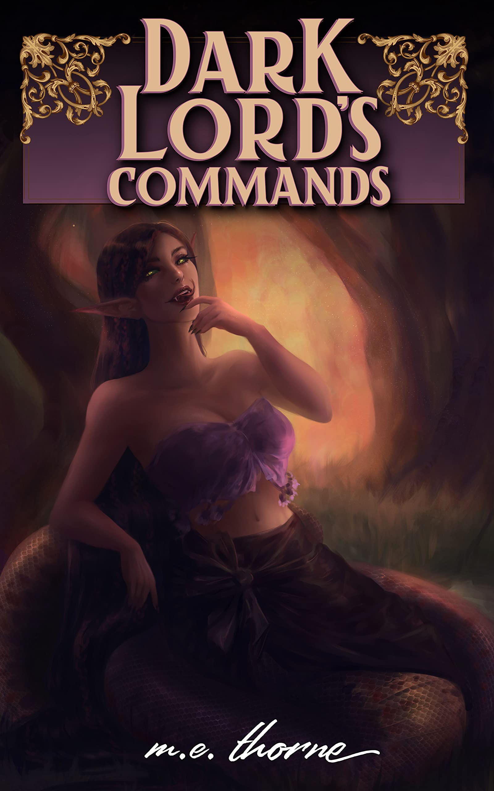 Dark Lord's Commands book cover