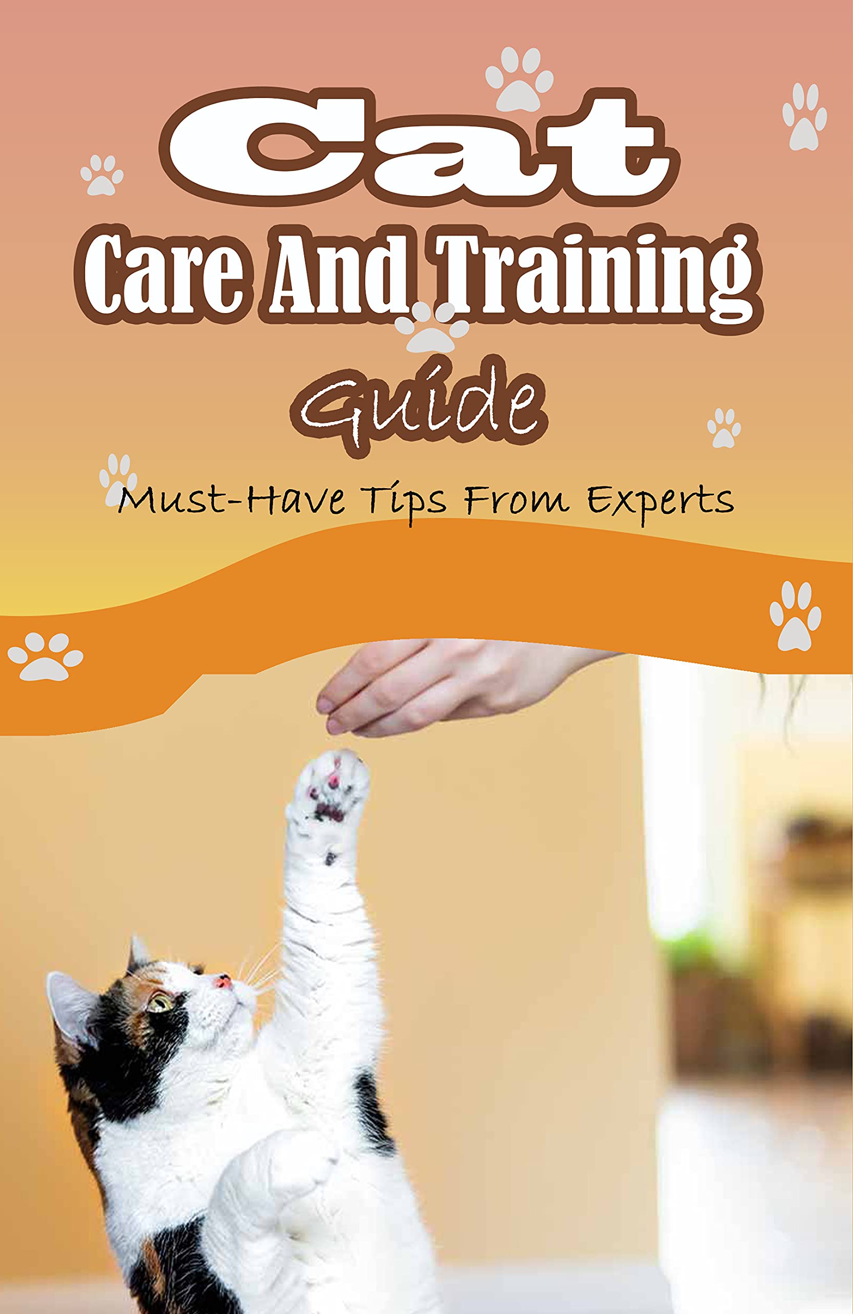 Cat Care And Training Guide MustHave Tips From Experts What Do Cats