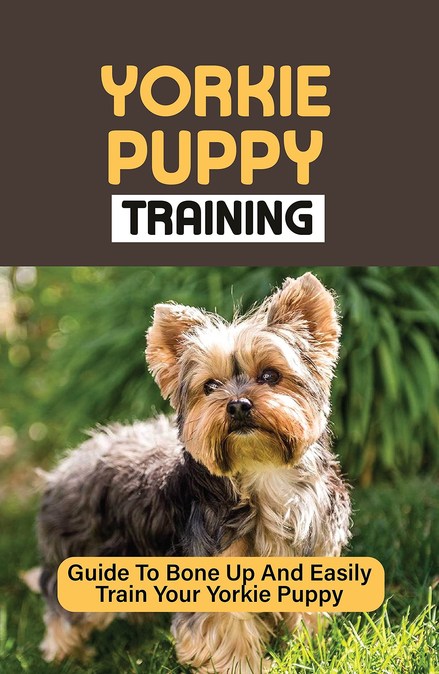 Yorkie Puppy Training Guide To Bone Up And Easily Train Your Yorkie