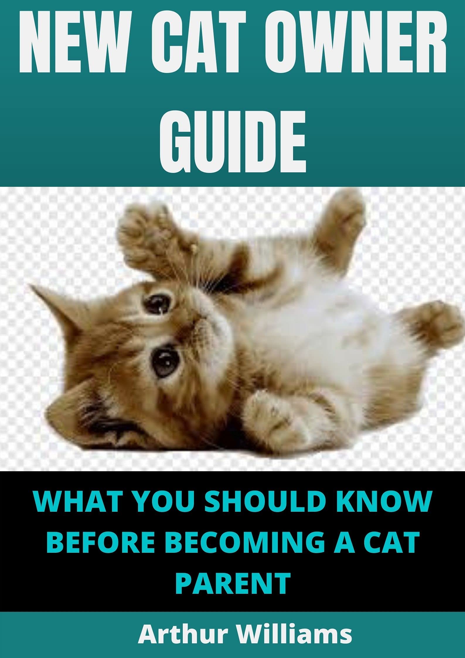 NEW CAT OWNER GUIDE WHAT YOU SHOULD KNOW BEFORE A CAT PARENT