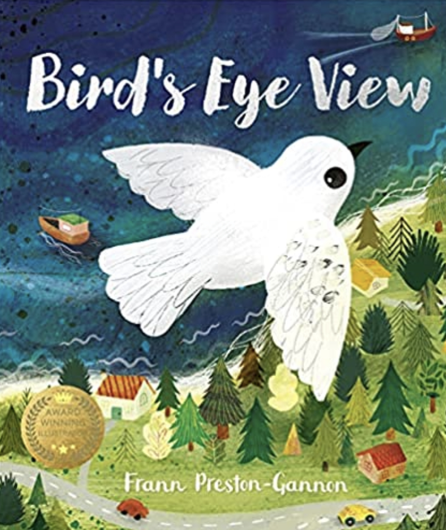 Bird’s Eye View