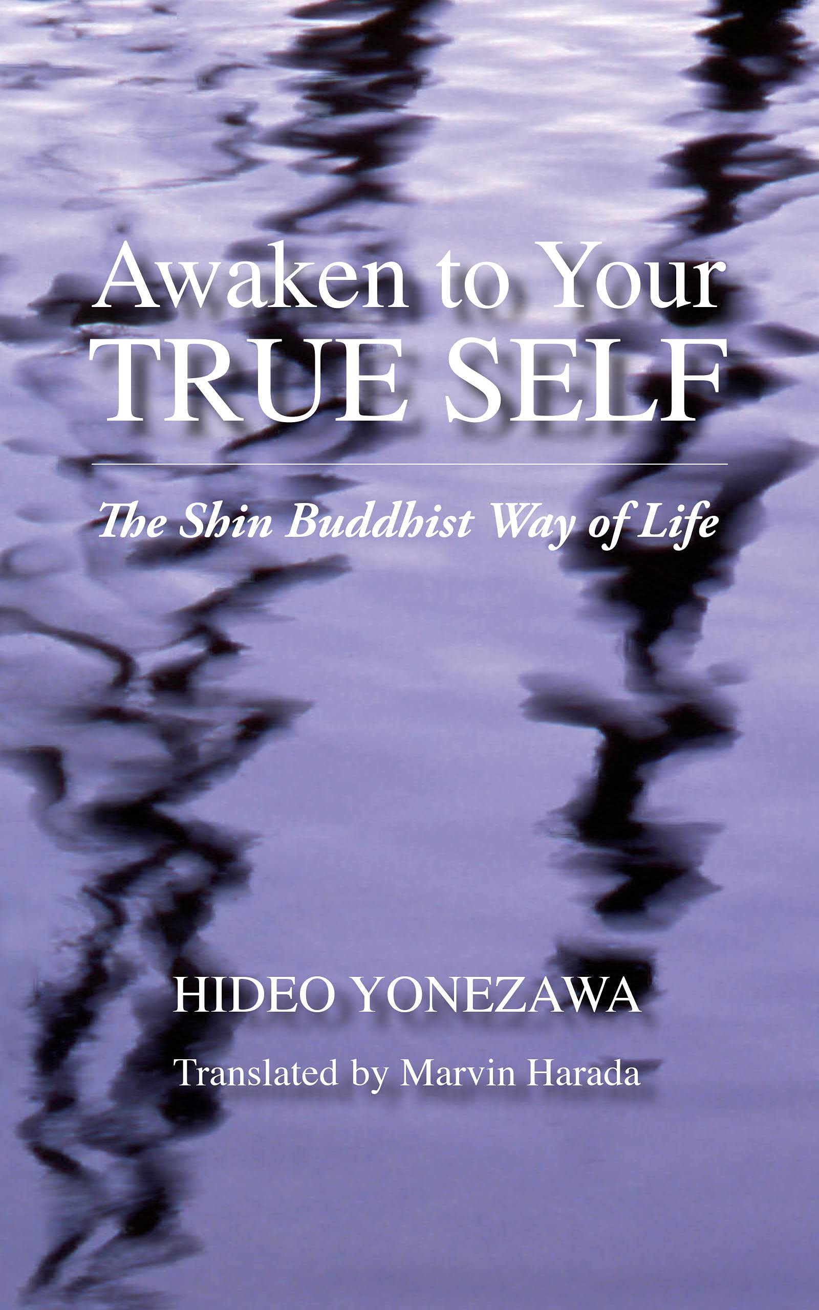 Awaken To Your True Self The Shin Buddhist Way Of Life By Hideo awaken-to-your-true-self-the-shin-buddhist-way-of-life-by-hideo