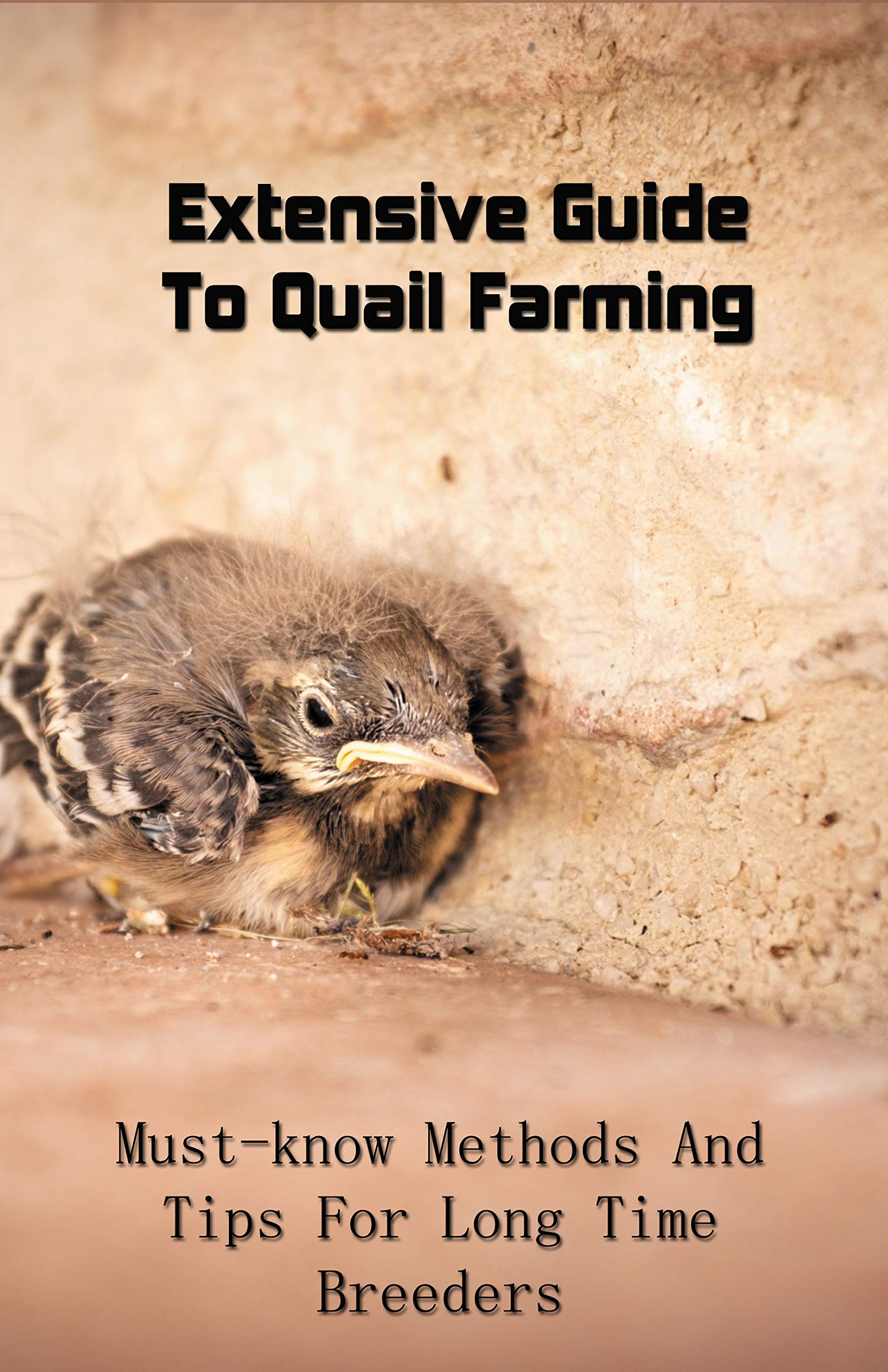 Extensive Guide To Quail Farming Mustknow Methods And Tips For Long
