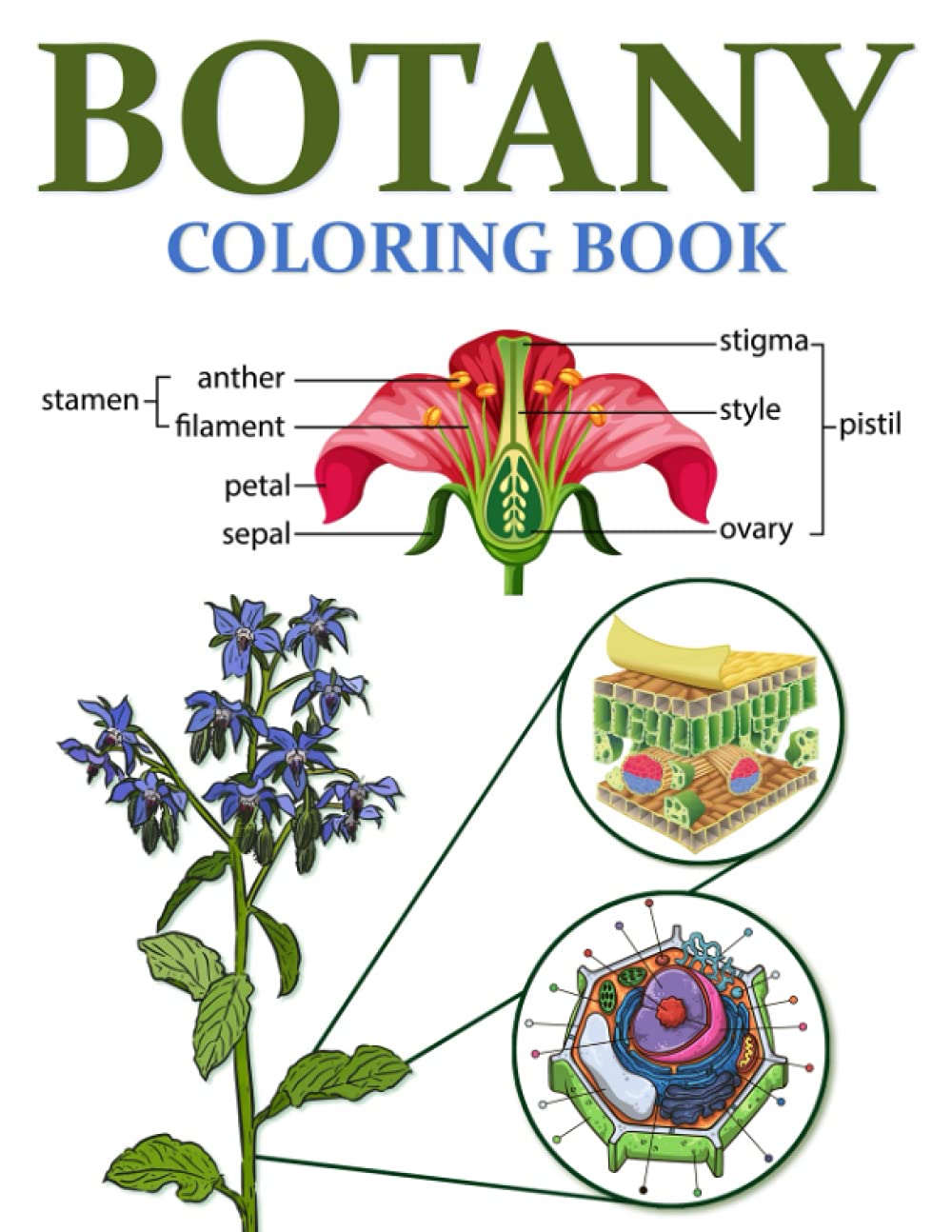 Botany Coloring Book Plants Anatomy by VOVITY PRINTS Goodreads