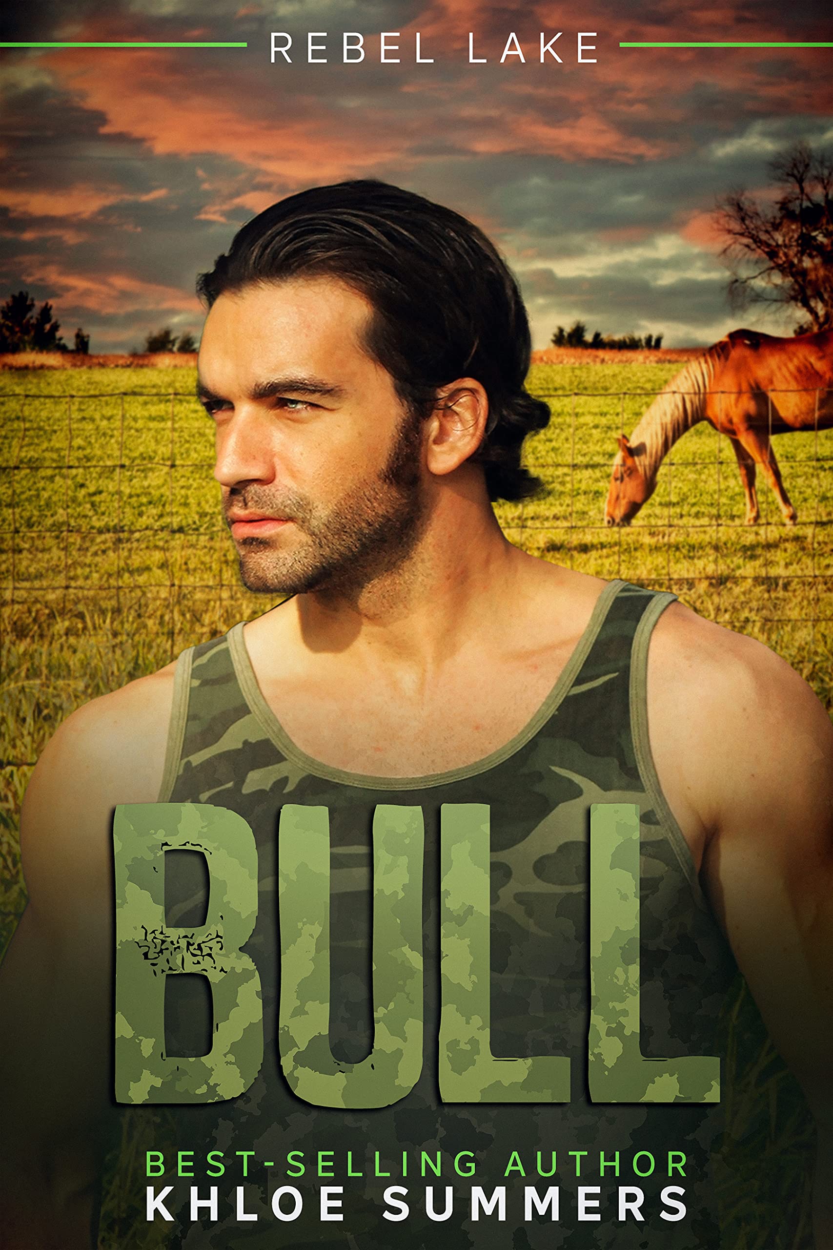 Bull book cover