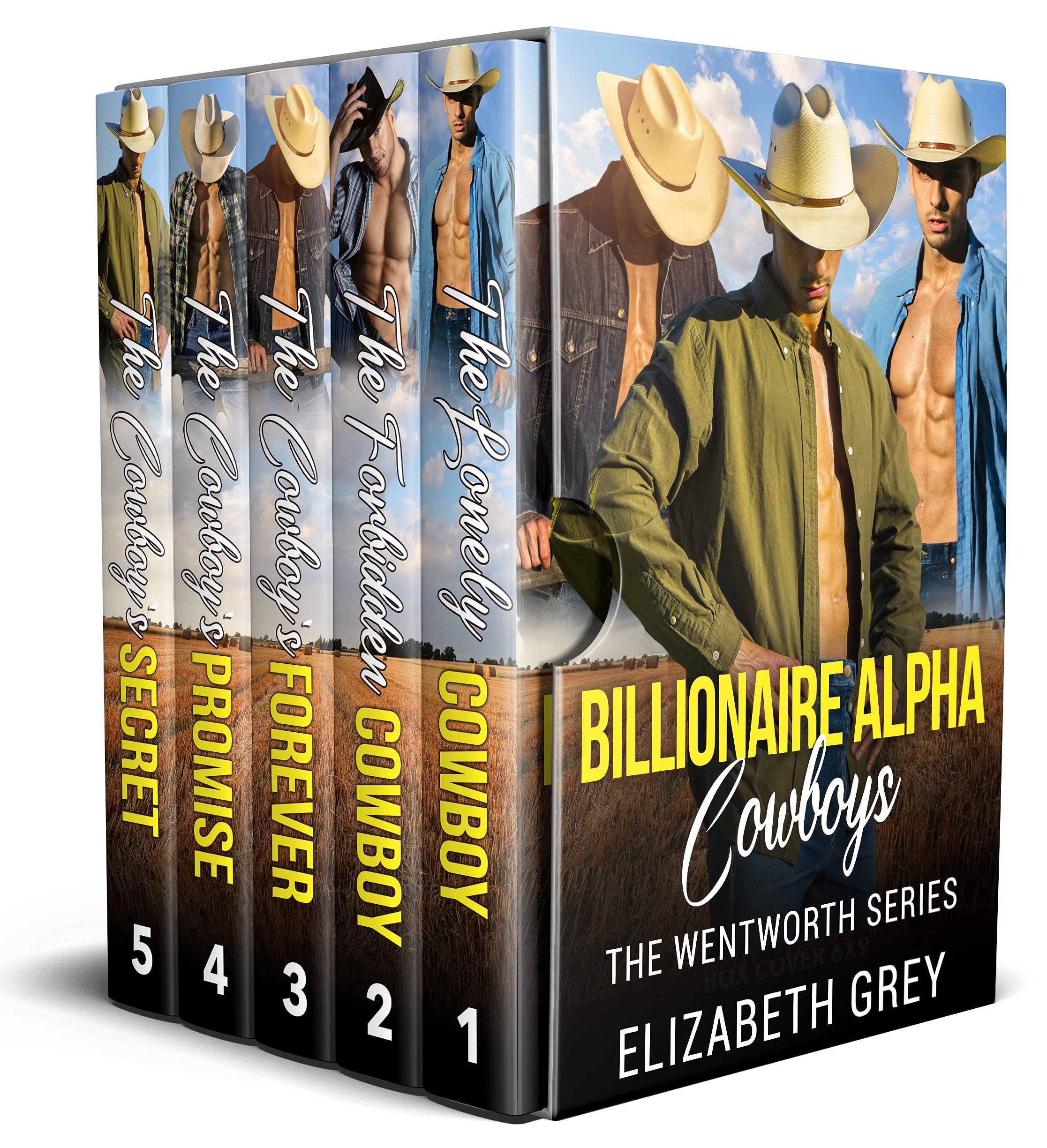 The Wentworth Cowboy Billionaire Romance Boxset