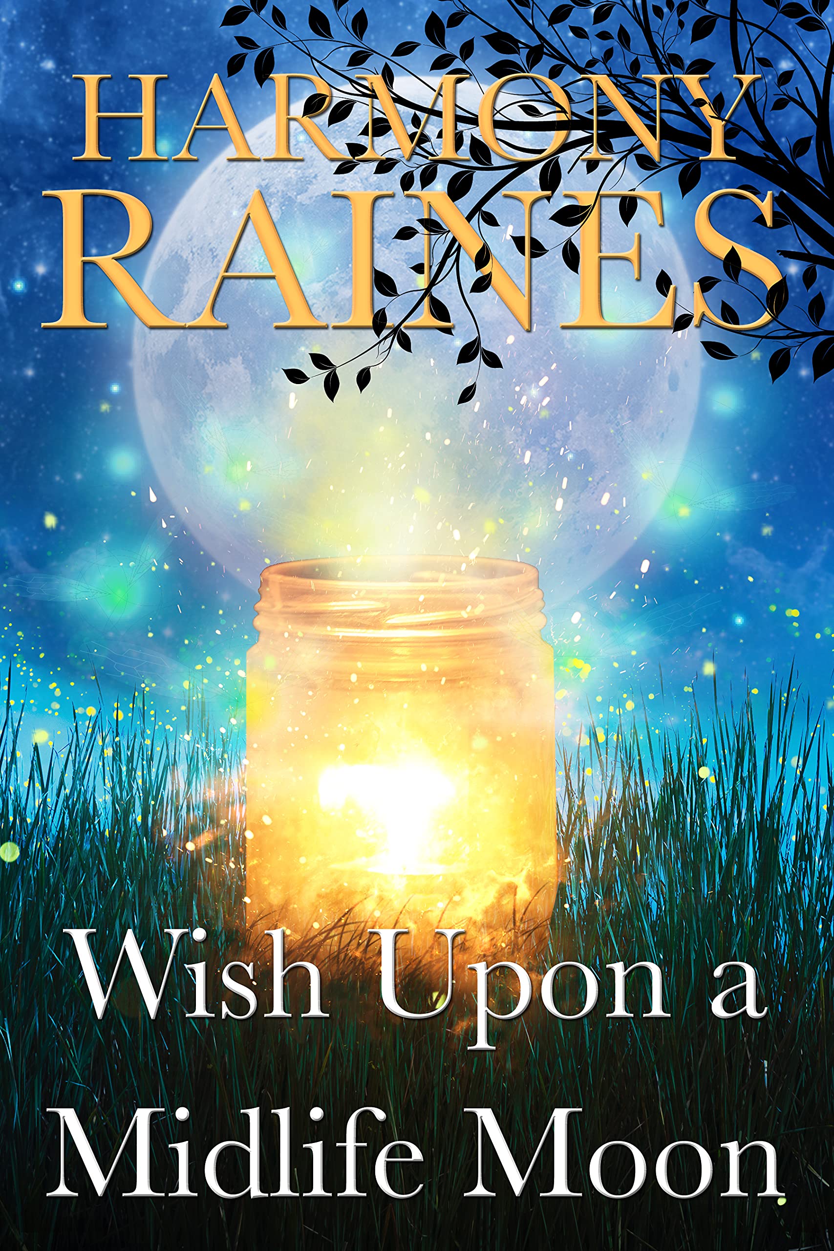 Wish Upon a Midlife Moon book cover