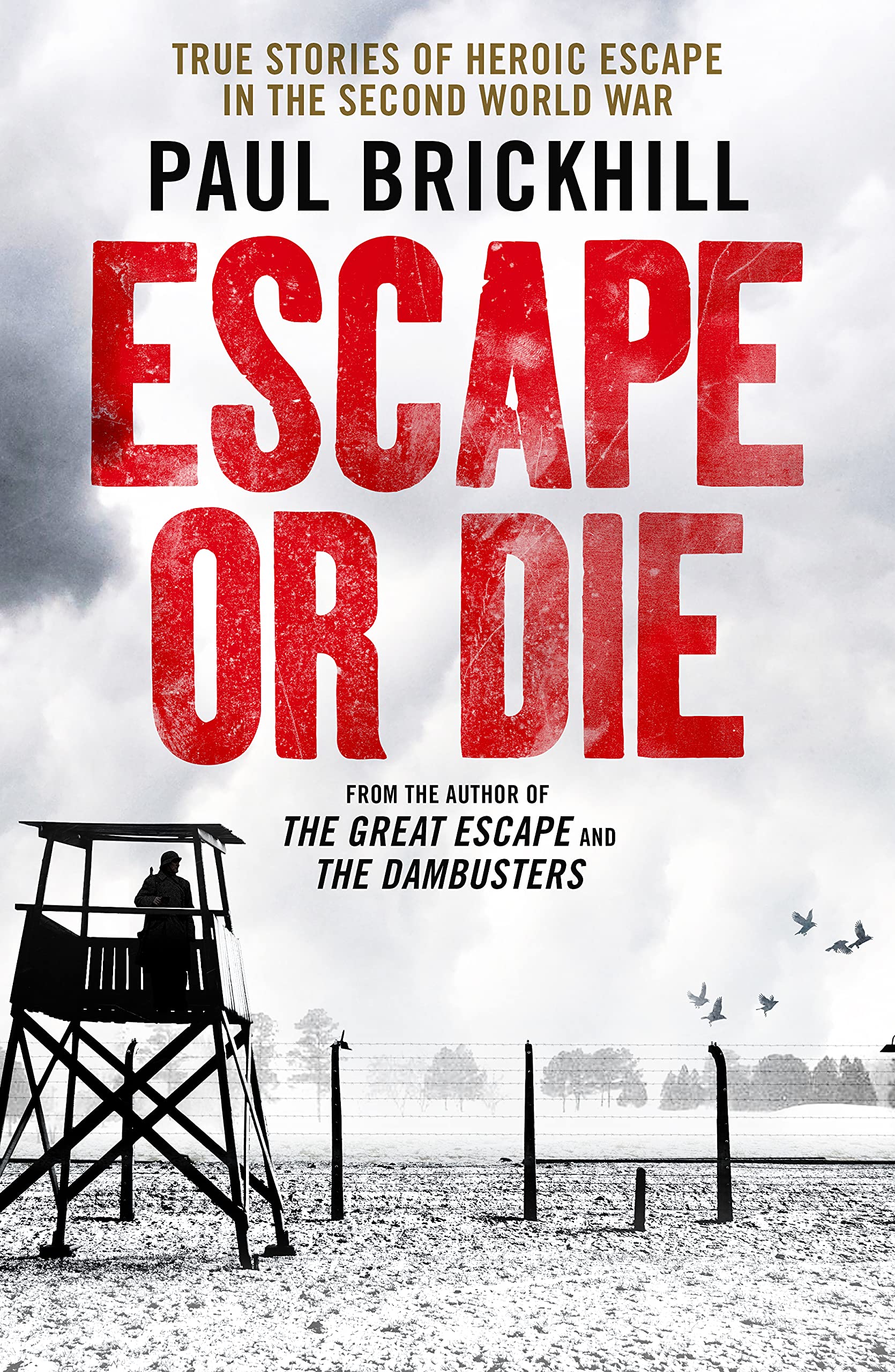 Escape or Die: True Stories of Heroic Escape in the Second World War