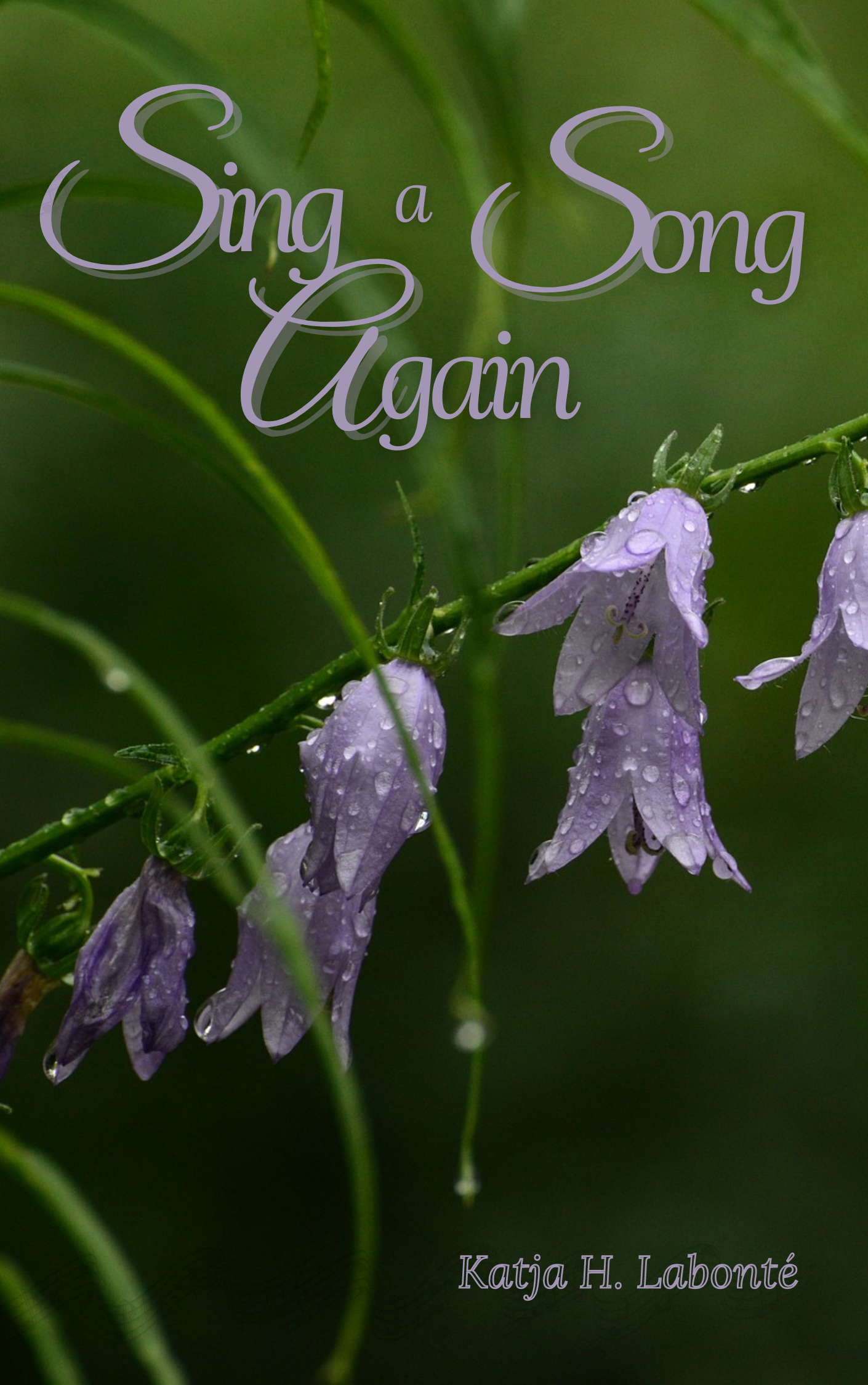 Sing a Song Again book cover