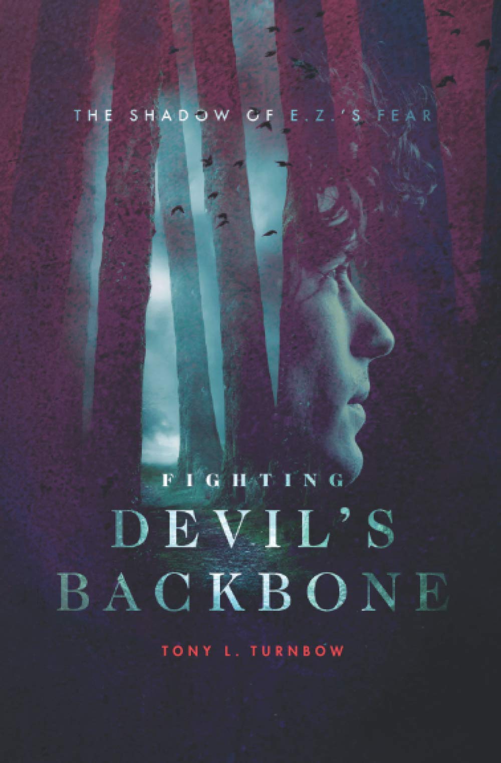 The Shadow of E. Z.'s Fear book cover