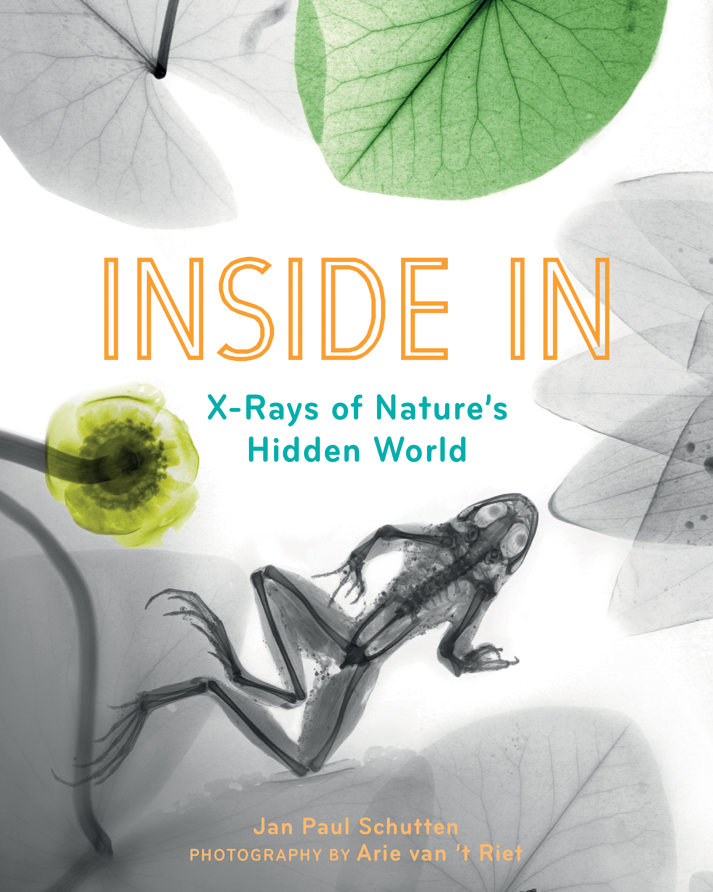 Inside In book cover