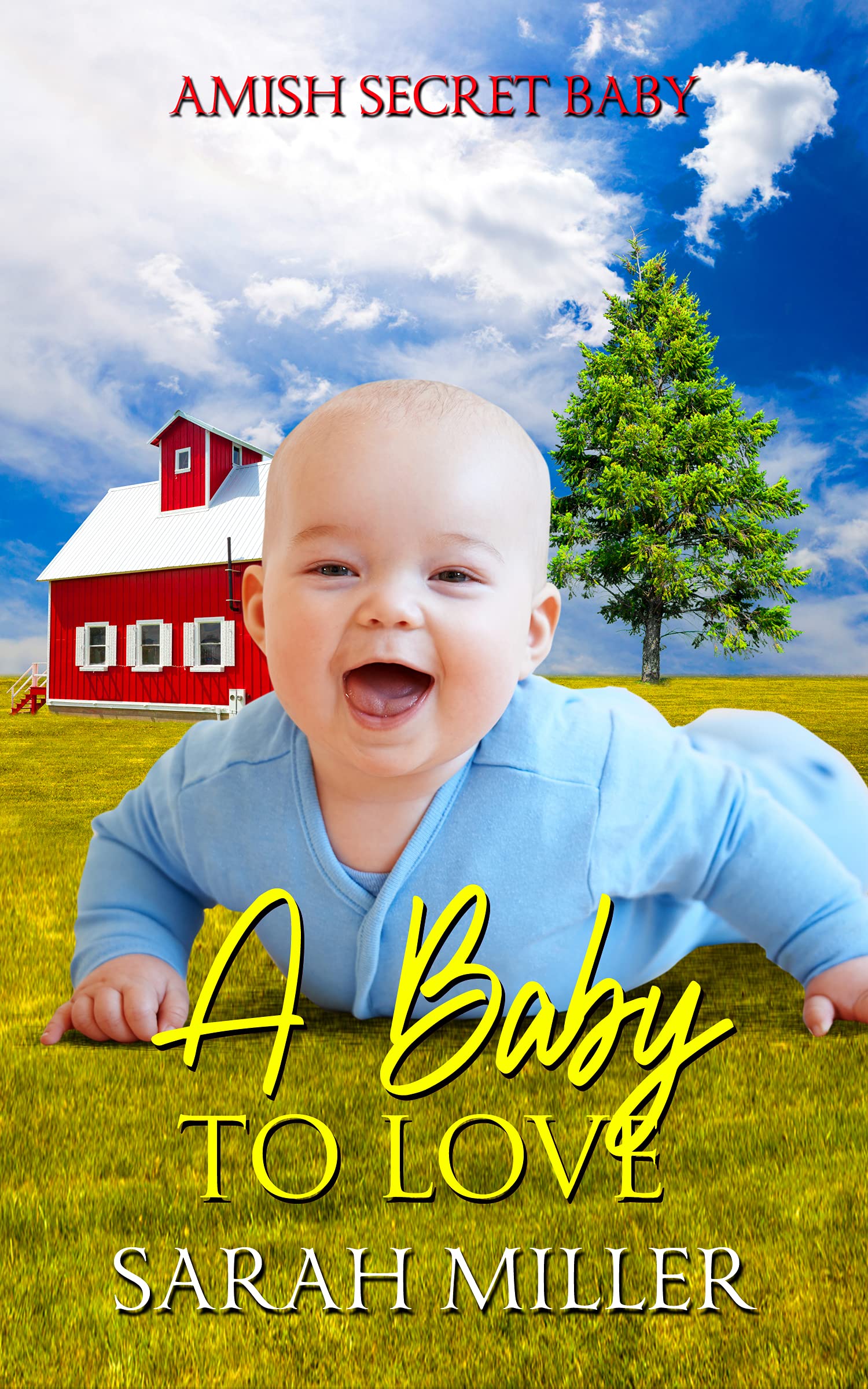 A Baby to Love book cover
