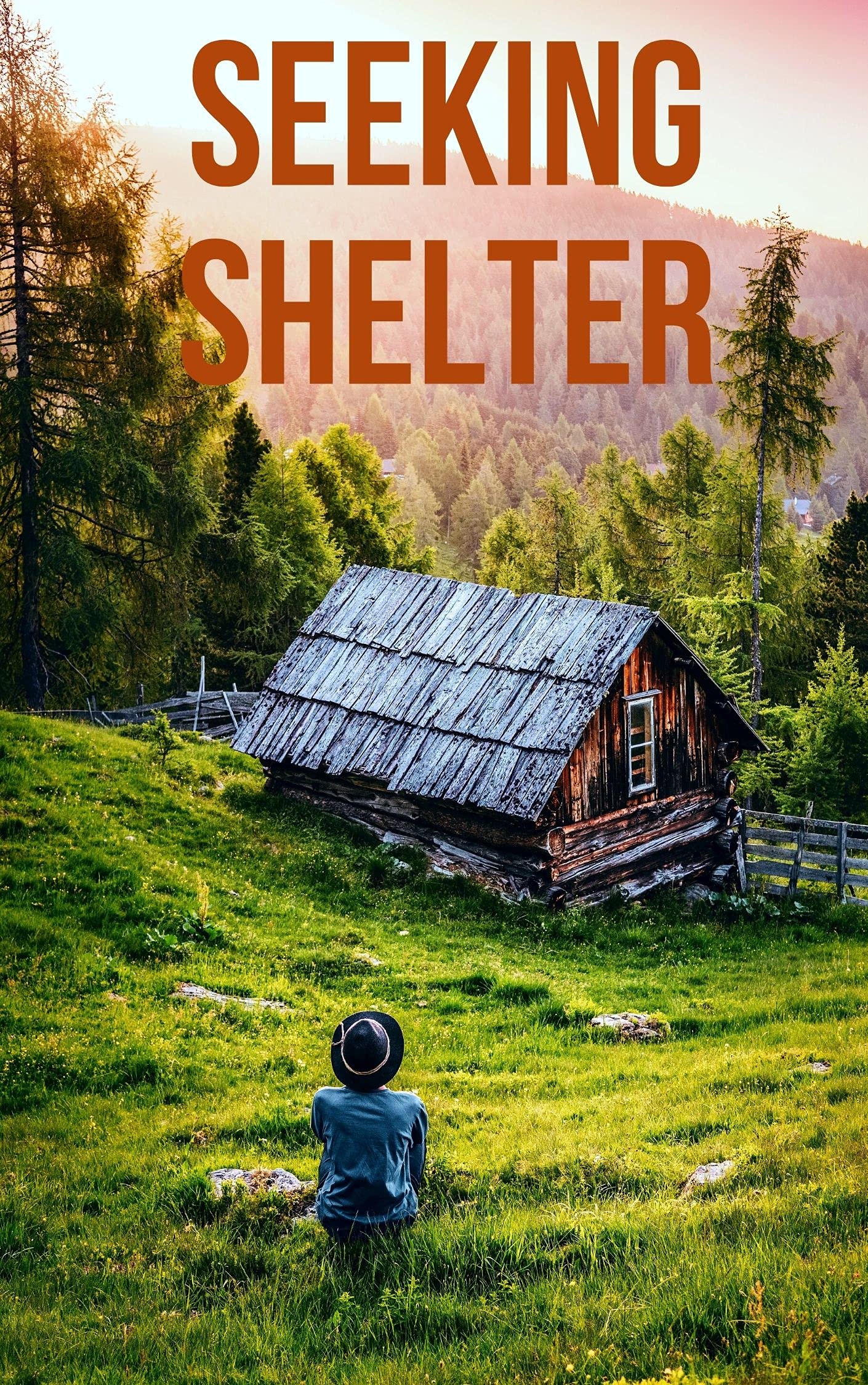 Seeking Shelter book cover