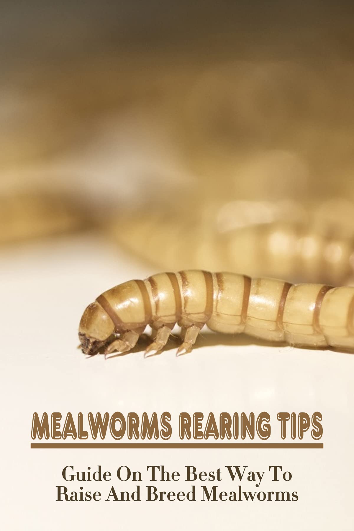 Mealworms Rearing Tips Guide On The Best Way To Raise And Breed Mealworms Tips To Prepare And