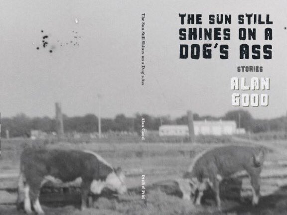 The Sun Still Shines on a Dog's Ass