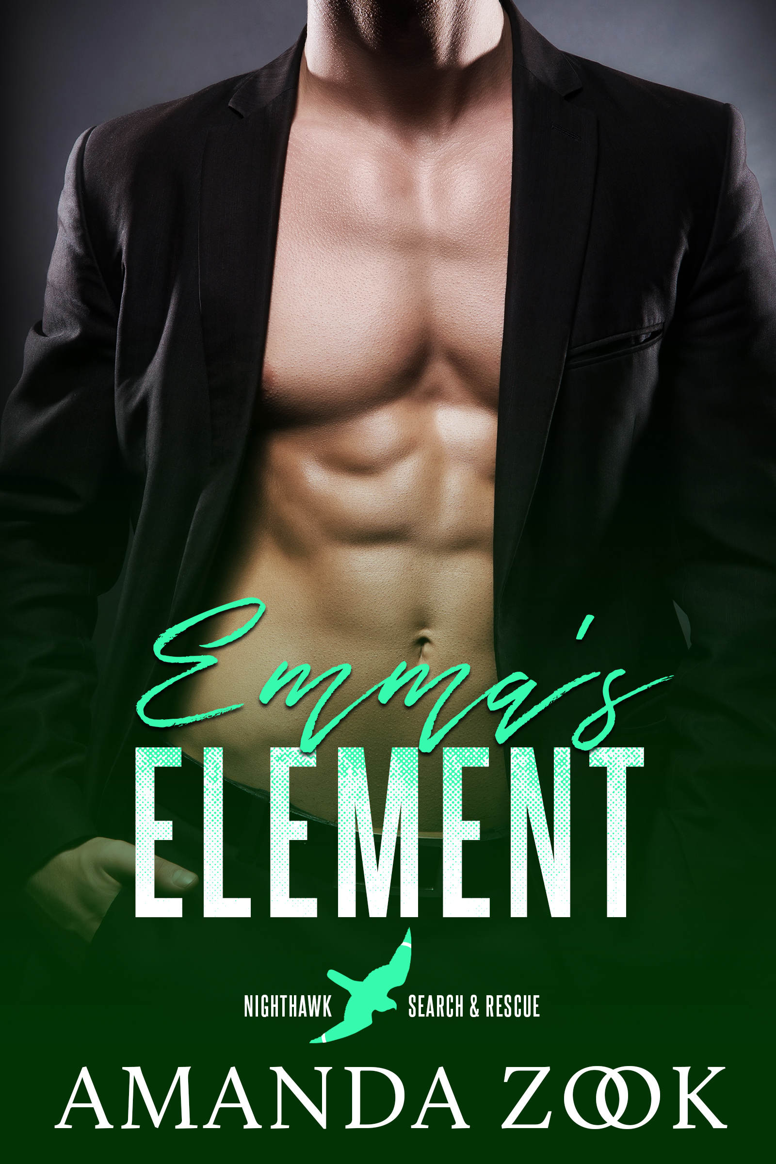 Nighthawk Search and Rescue series book cover 3