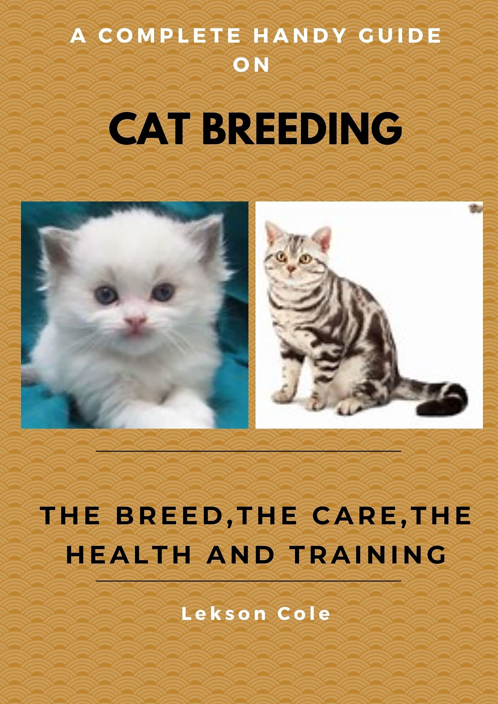 Prepare To Be Amazed: The Cat & Hamster Breeding Experiment! - c8uqoh5