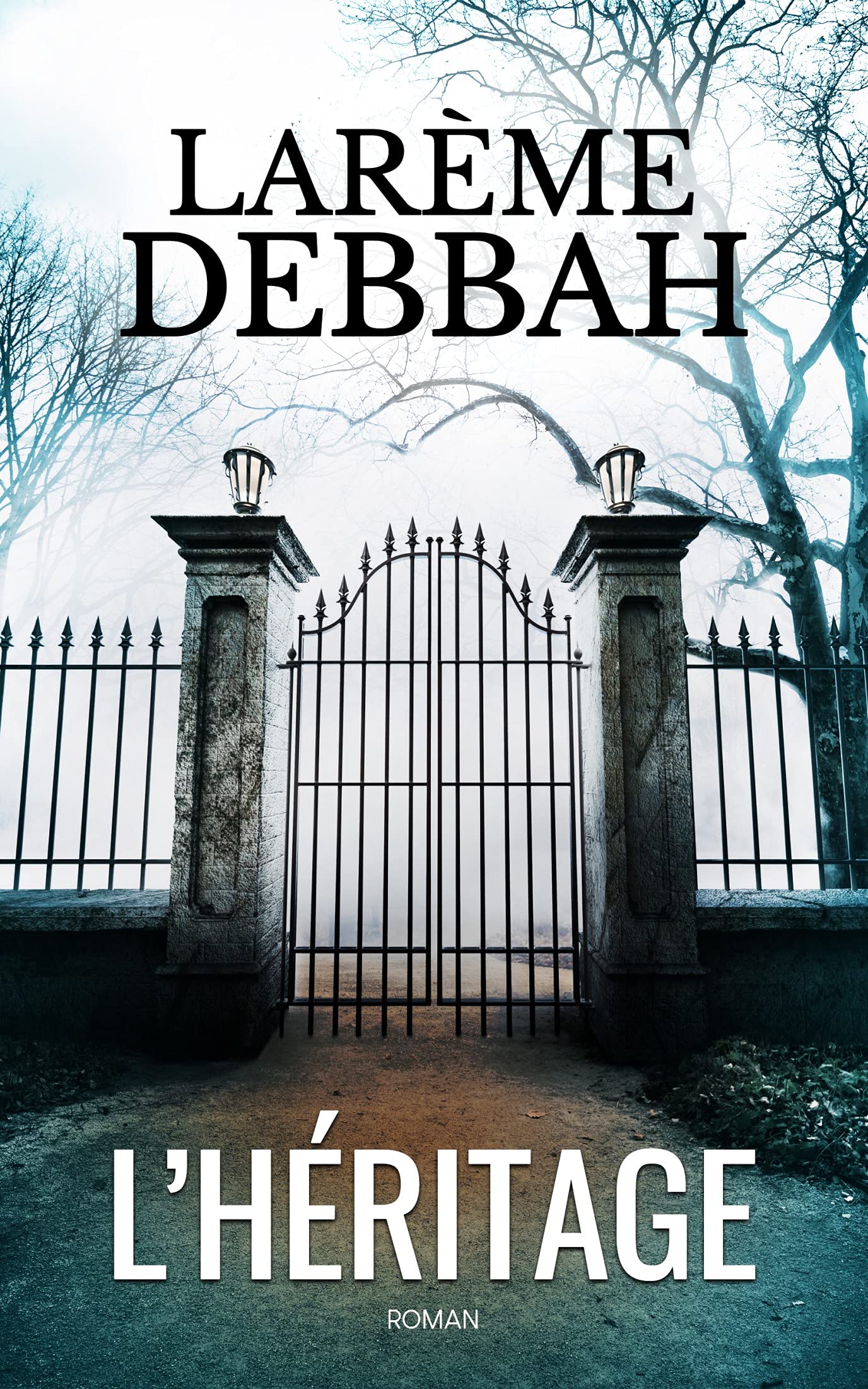 L'Héritage: Thriller psychologique addictif (Thriller et suspense psychologiques)