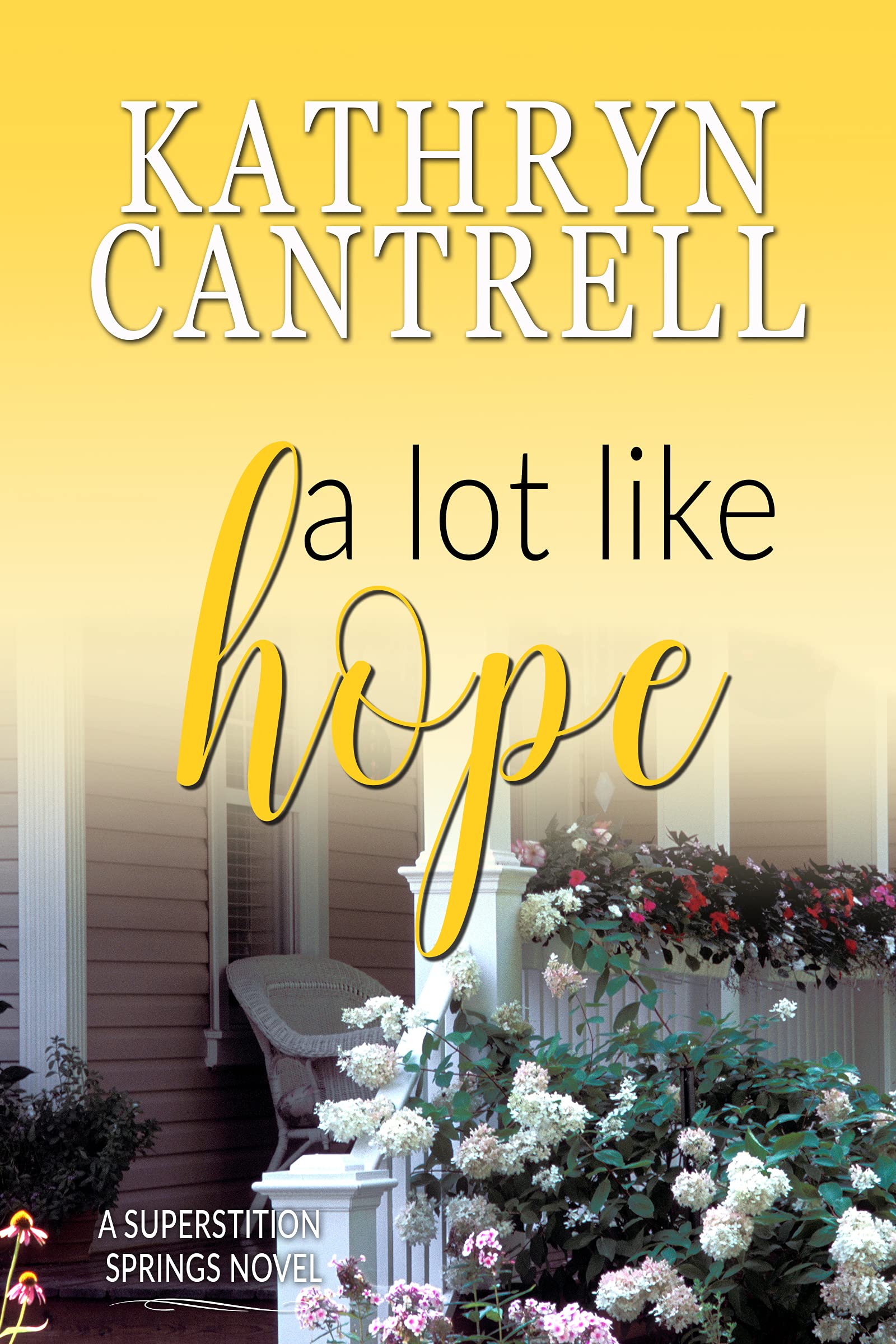 A Lot Like Hope book cover