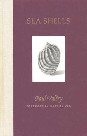 Sea Shells book cover