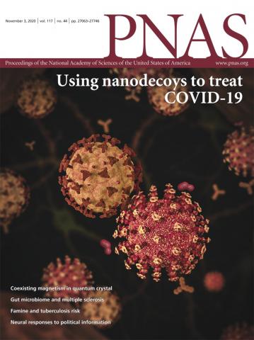 Gender differences in COVID-19 attitudes and behavior: Panel evidence ...