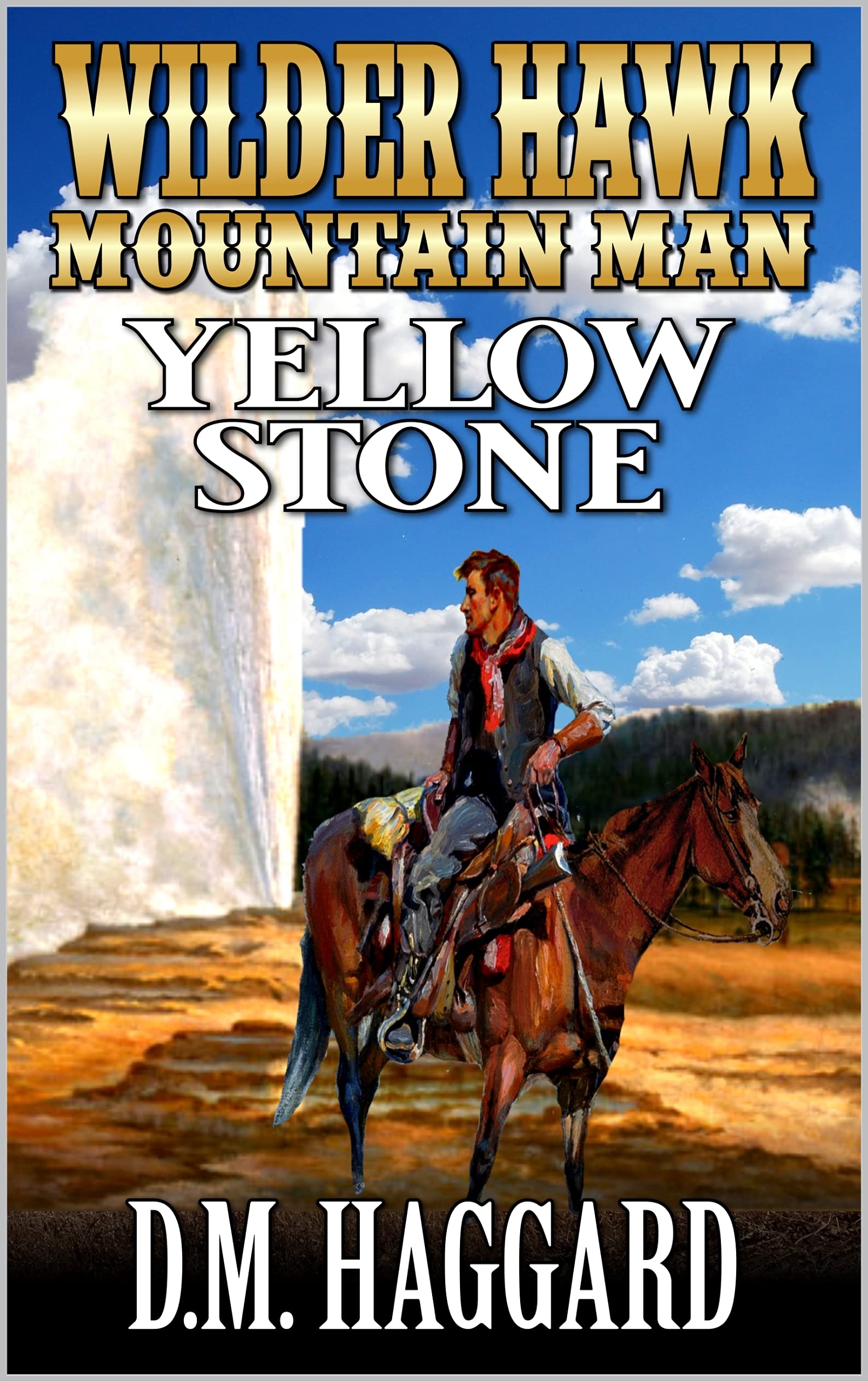 Wilder Hawk book cover