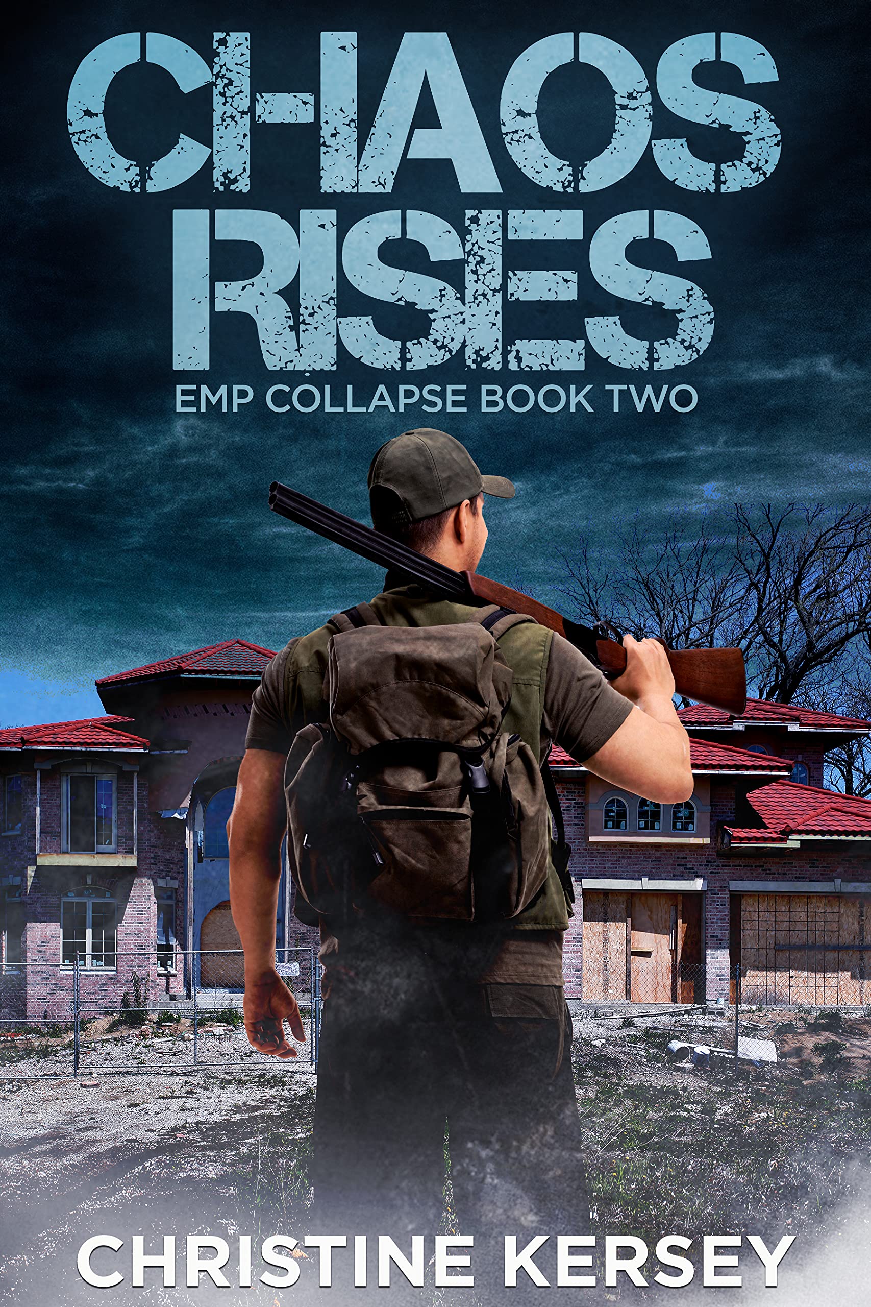 EMP Collapse book cover 2