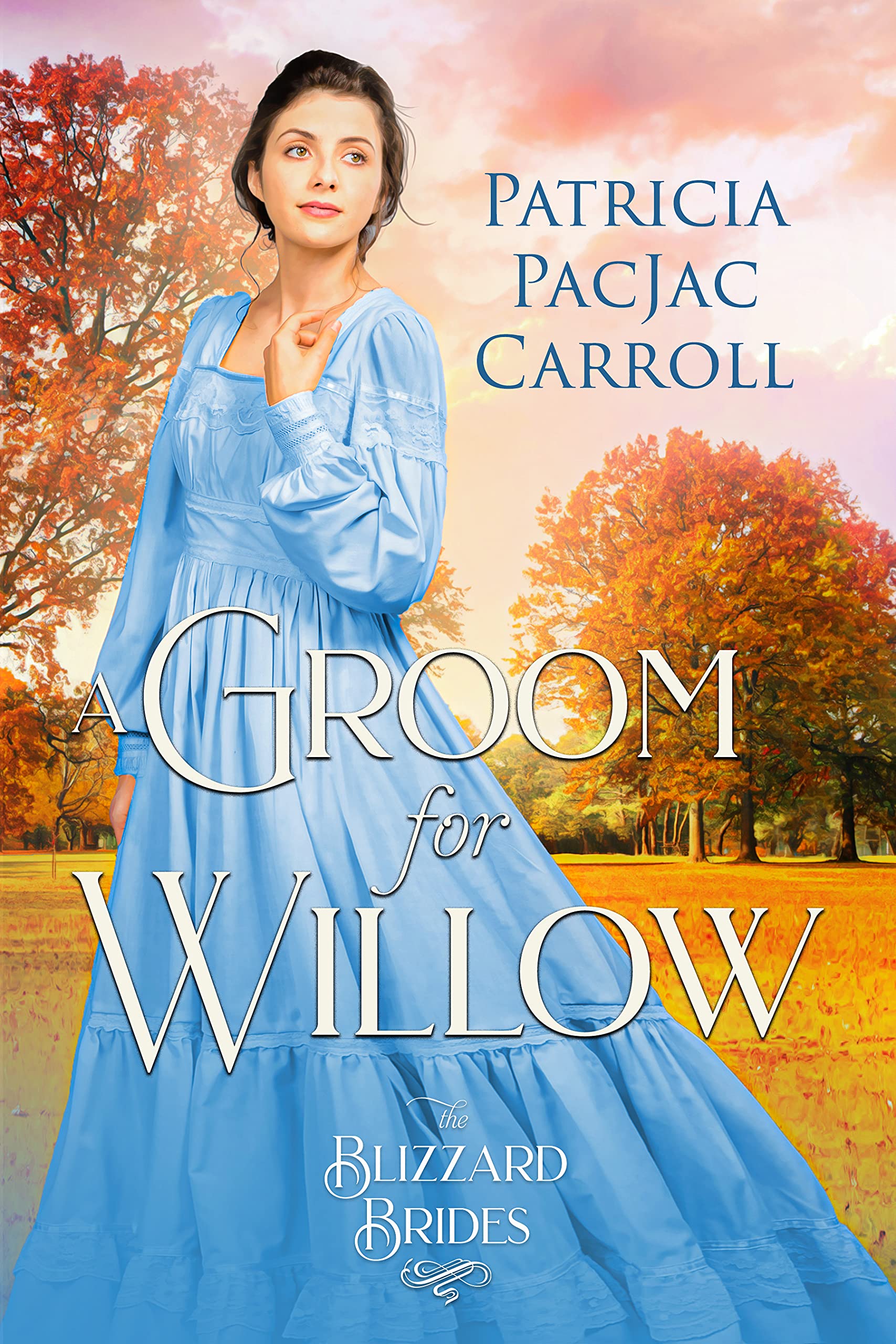 A Groom for Willow book cover