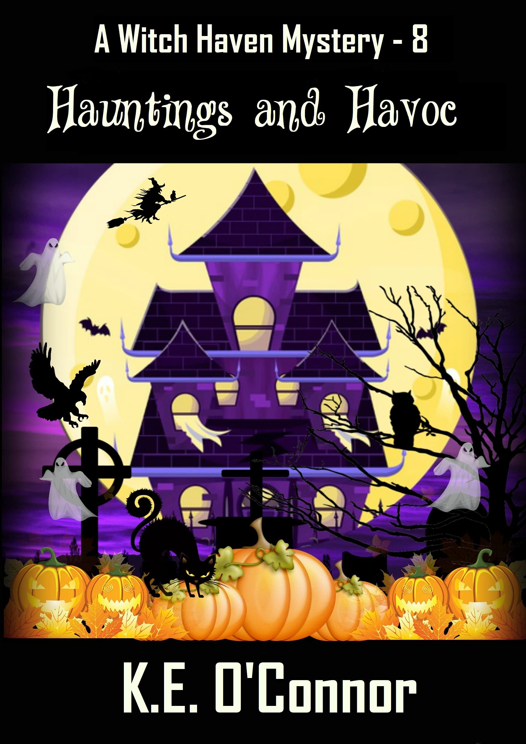Hauntings and Havoc book cover
