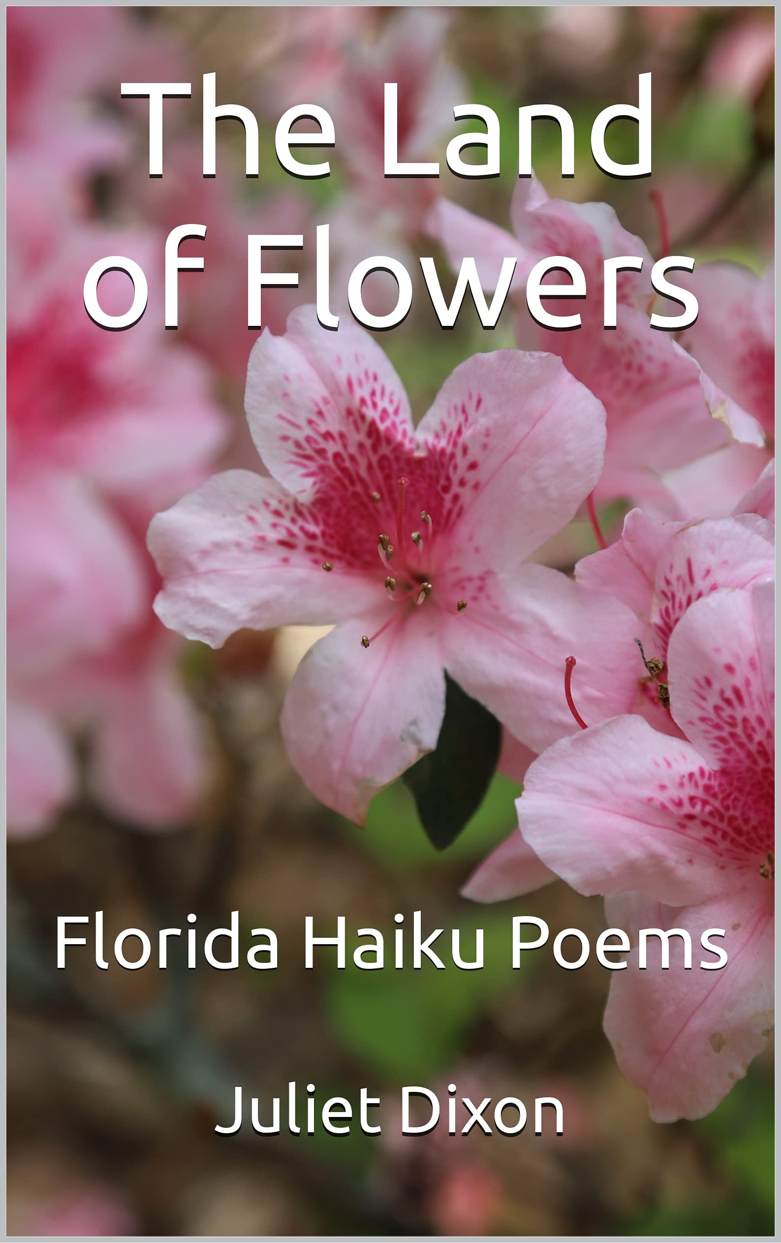 The Land of Flowers Florida Haiku Poems by Juliet Dixon Goodreads