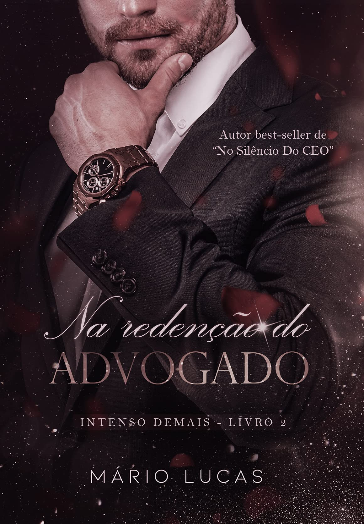 NA REDENÇÃO DO ADVOGADO (Intenso Demais Livro 2)