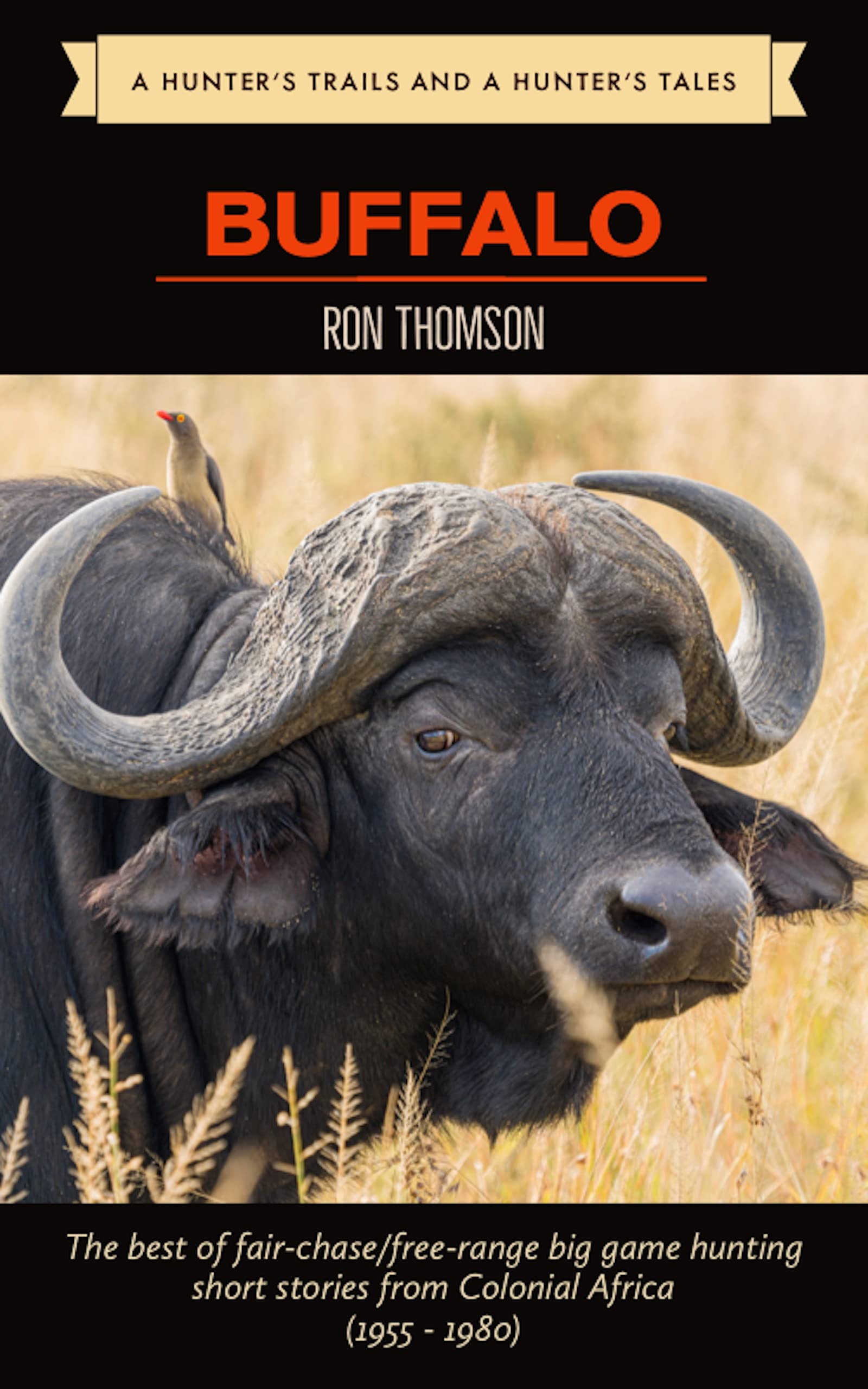 Hunting the African Buffalo
