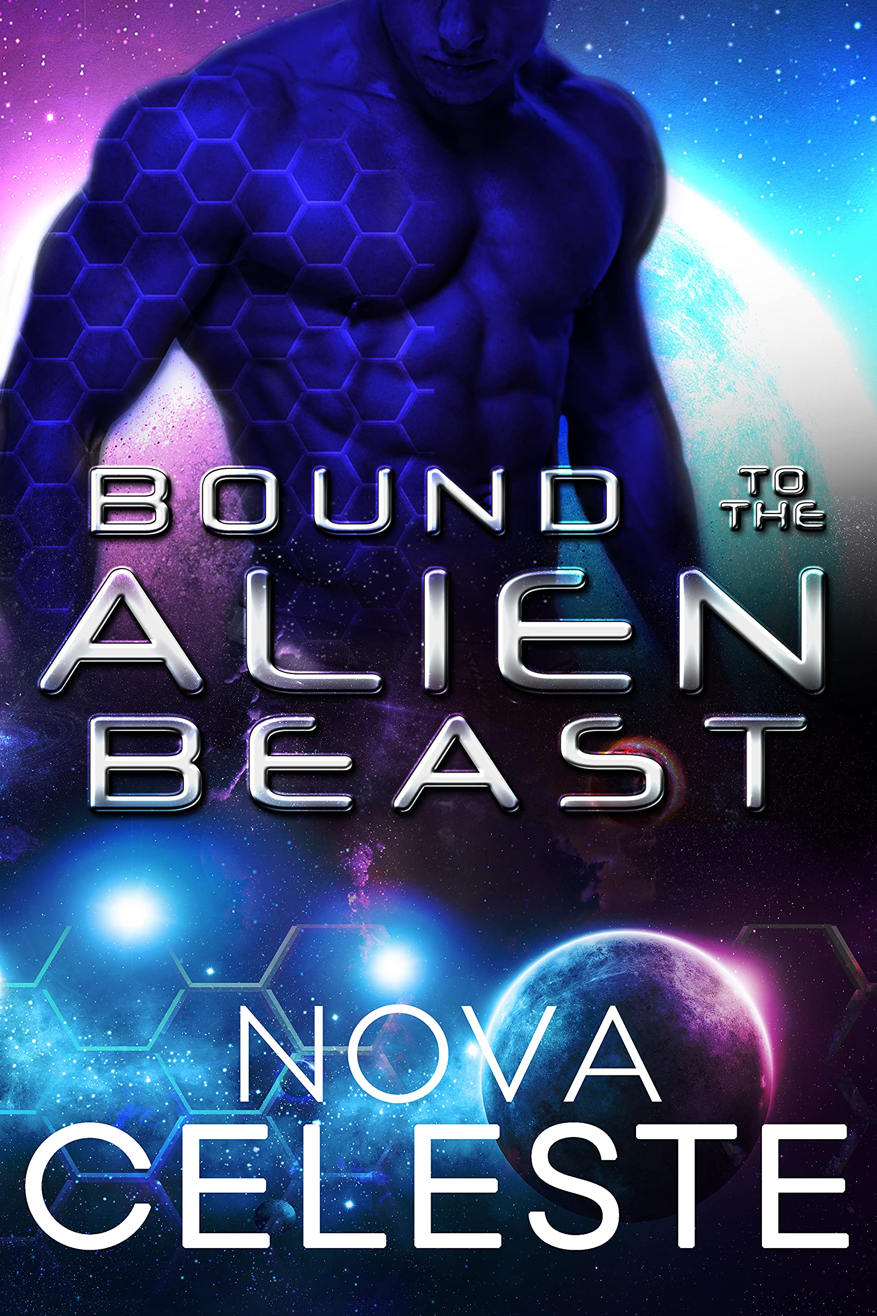 Chet'i Warrior Beasts book cover 2