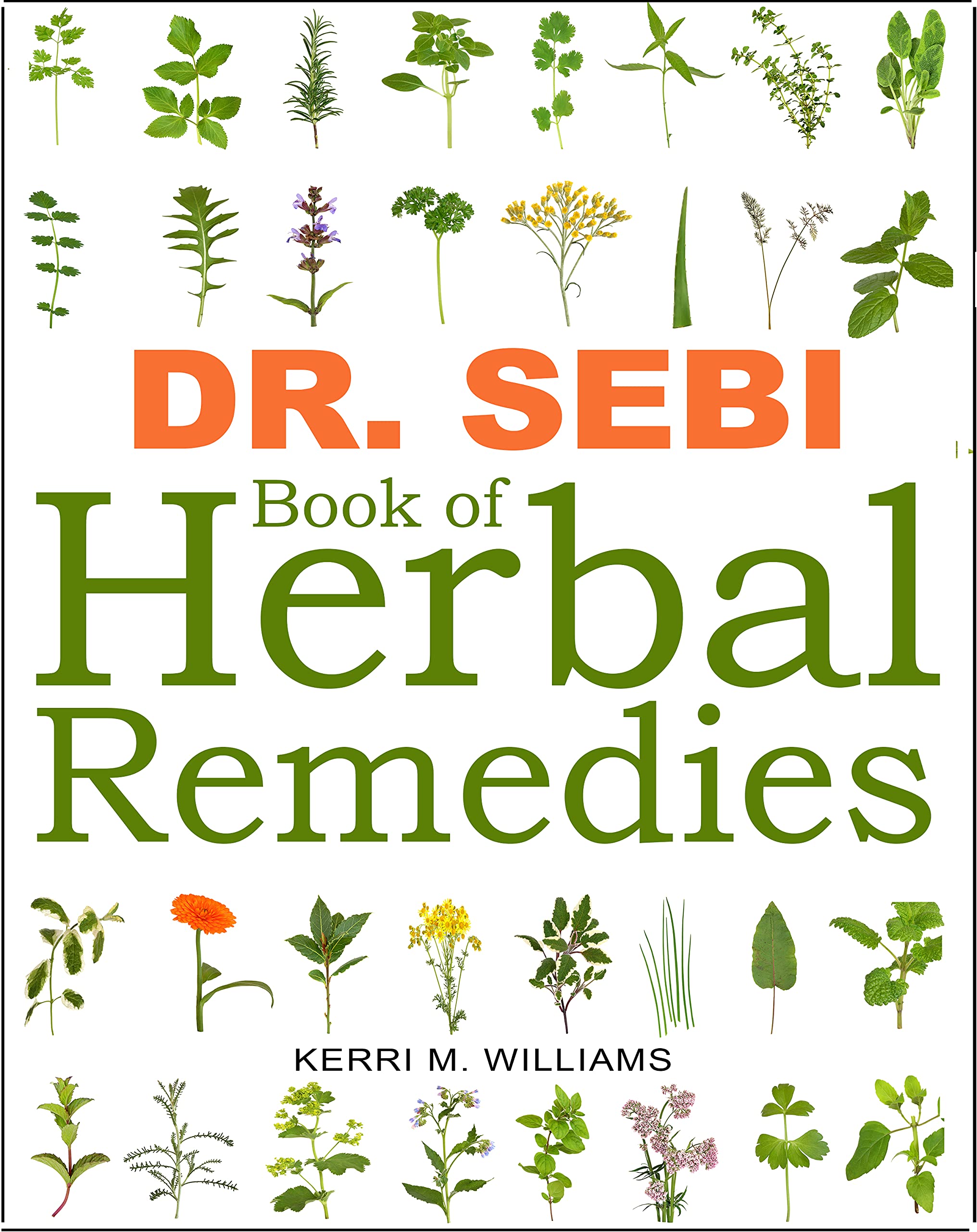 Dr. Sebi Book of Herbal Remedies The Handy Medicinemaking Guide for Common Ailments Alkaline
