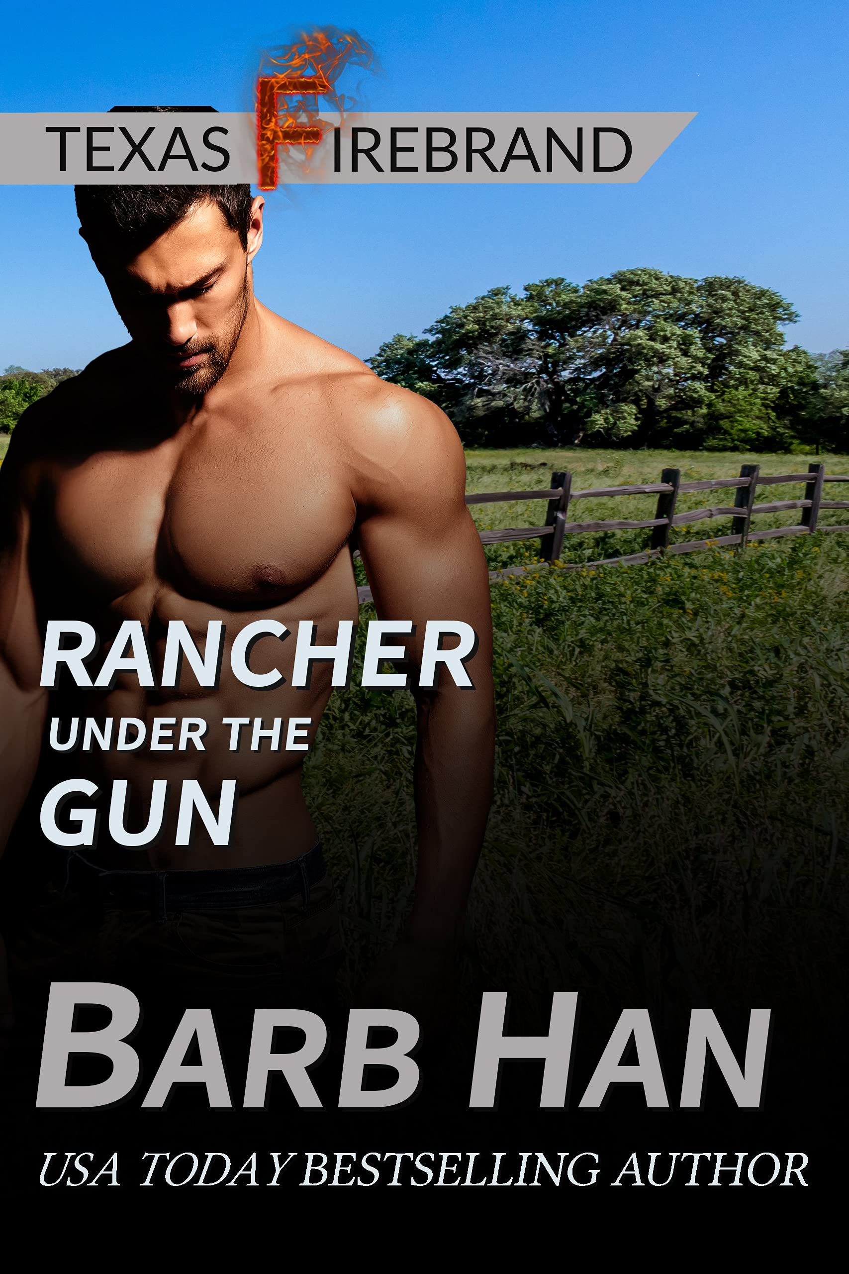 Rancher Under the Gun book cover