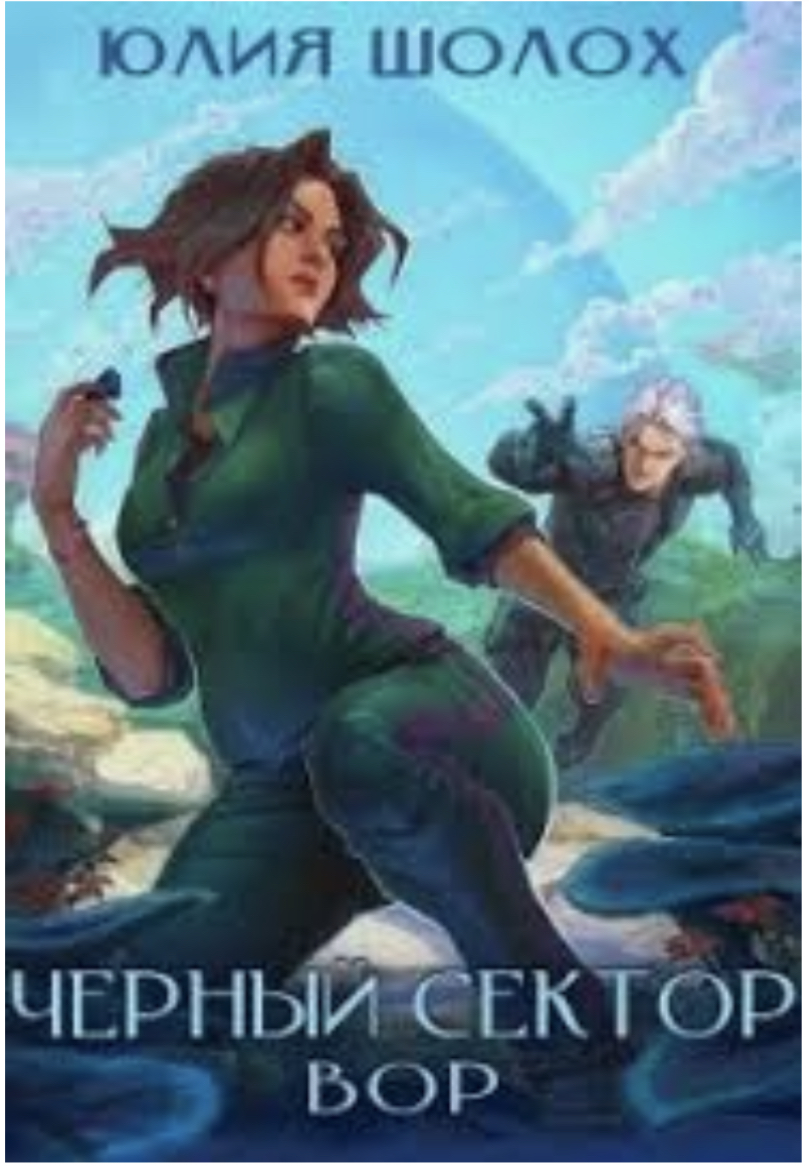 Чёрный Сектор: Вор by Юлия Шолох | Goodreads