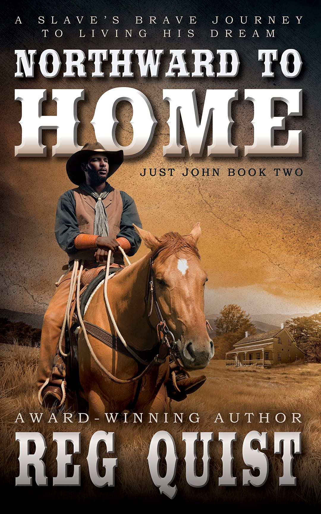 Northward To Home book cover