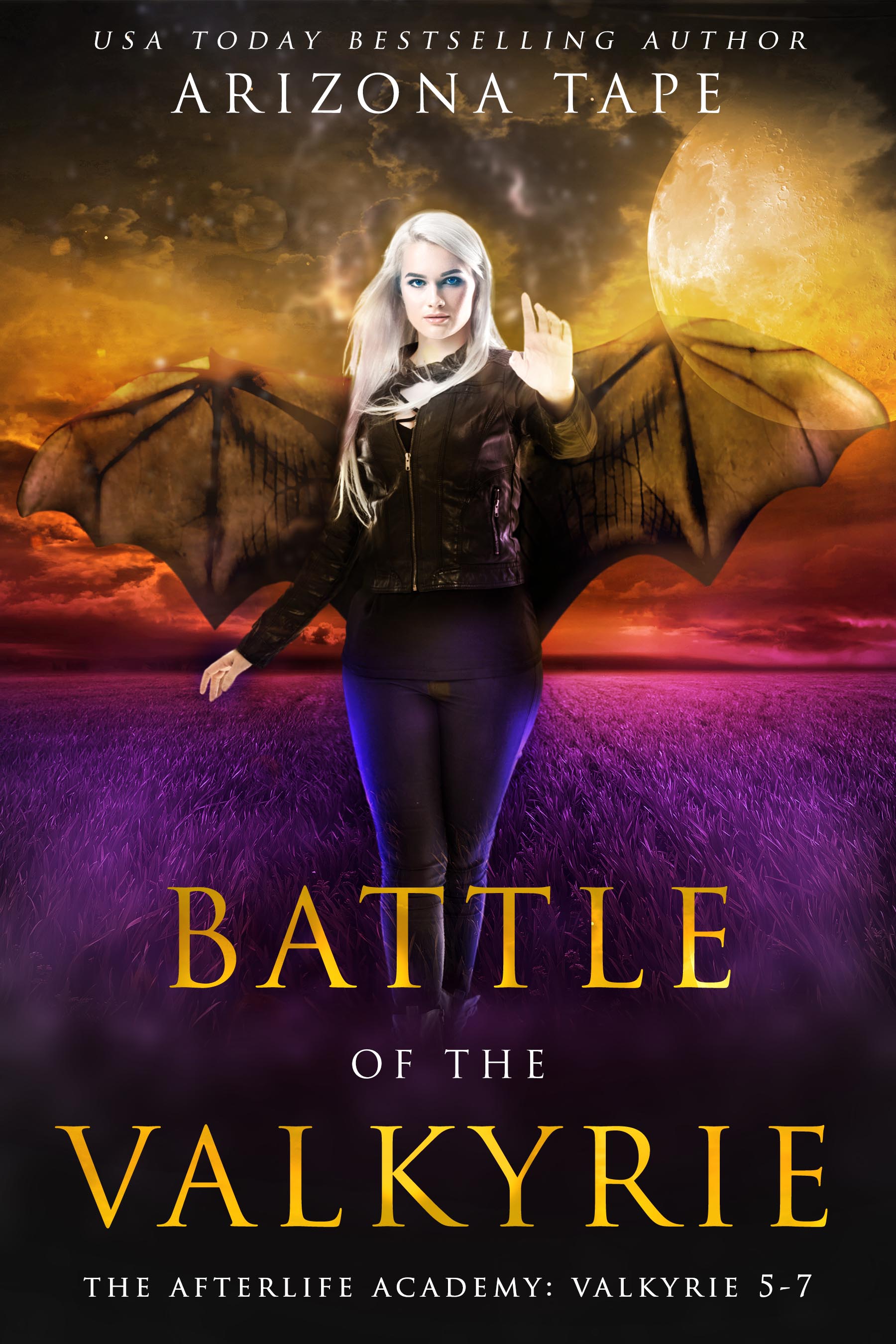 Battle Of The Valkyrie The Afterlife Academy Valkyrie 57 by Arizona