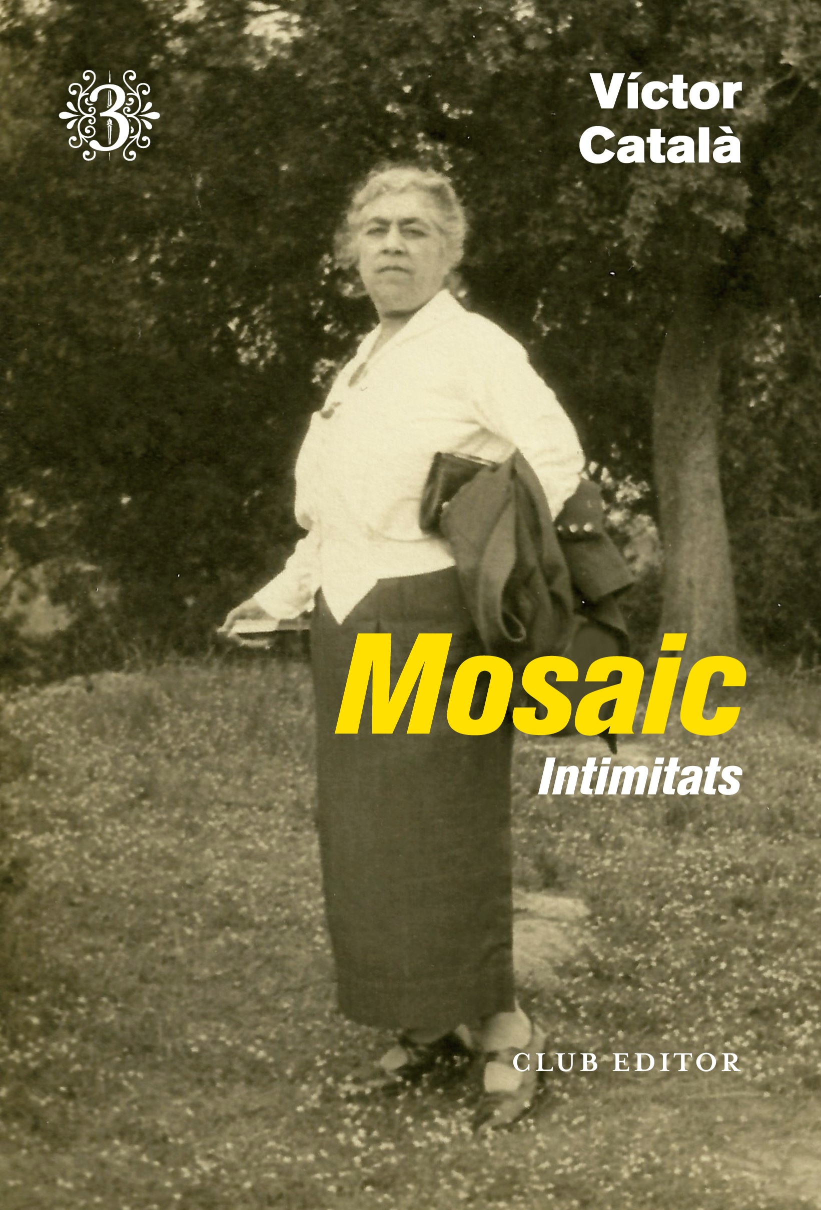 Mosaic III: Intimitats