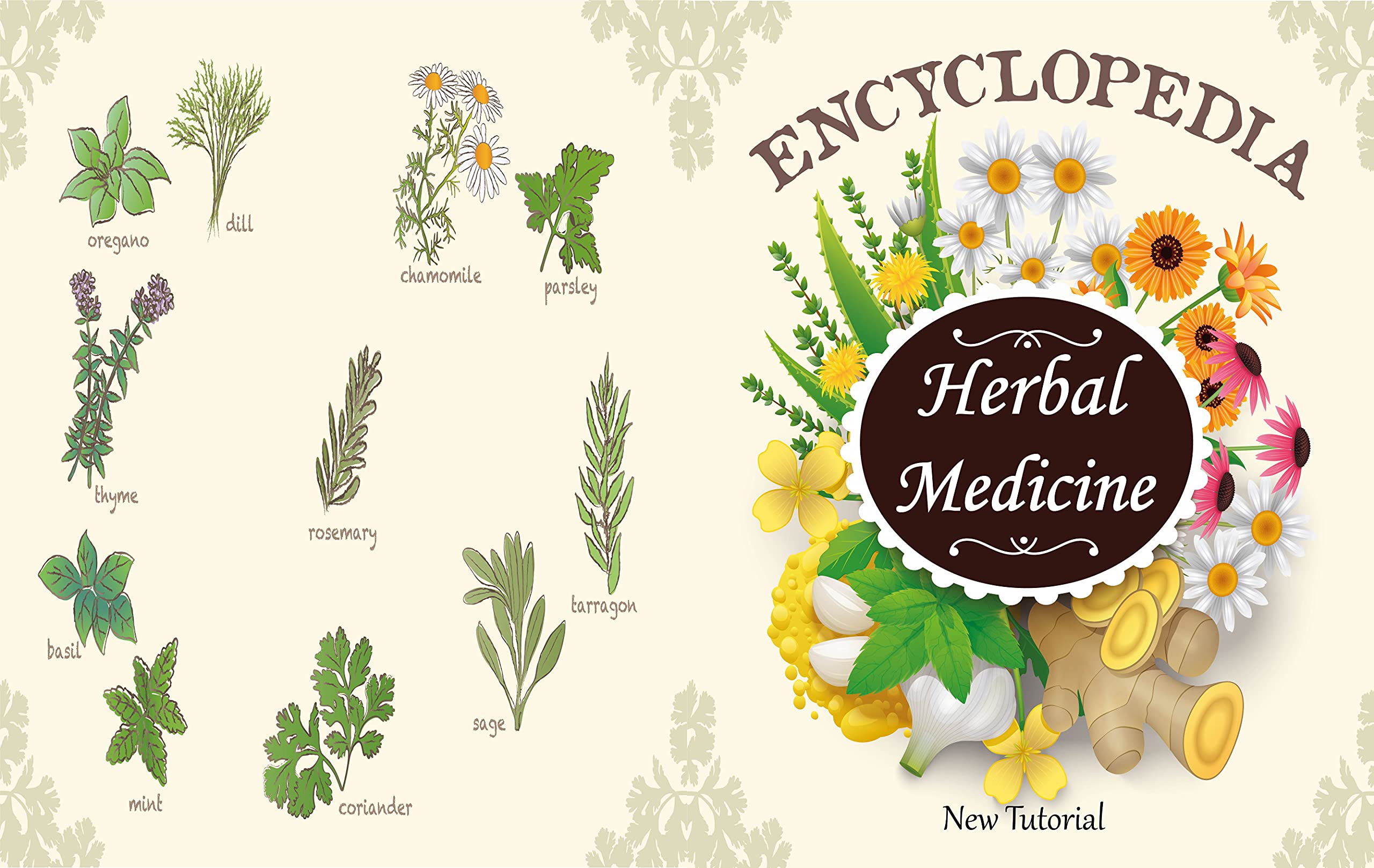 ENCYCLOPEDIA Of Herbal Medicine This is a herbal guide to holistic